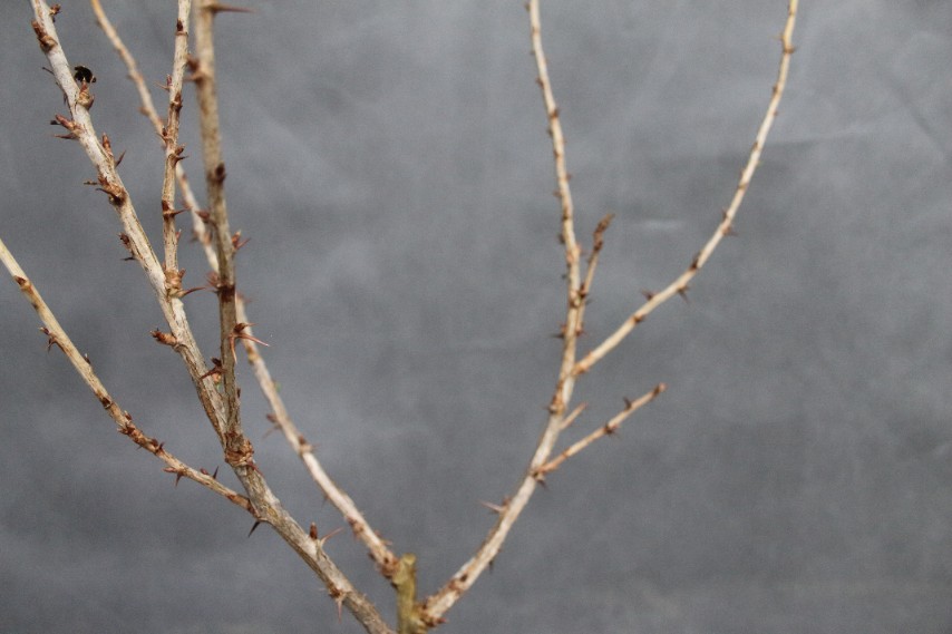 b313a2cdd6476324f575b20b0c9e0a48