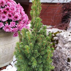 0e27a22112c1c07d448fa3df4fc80d75