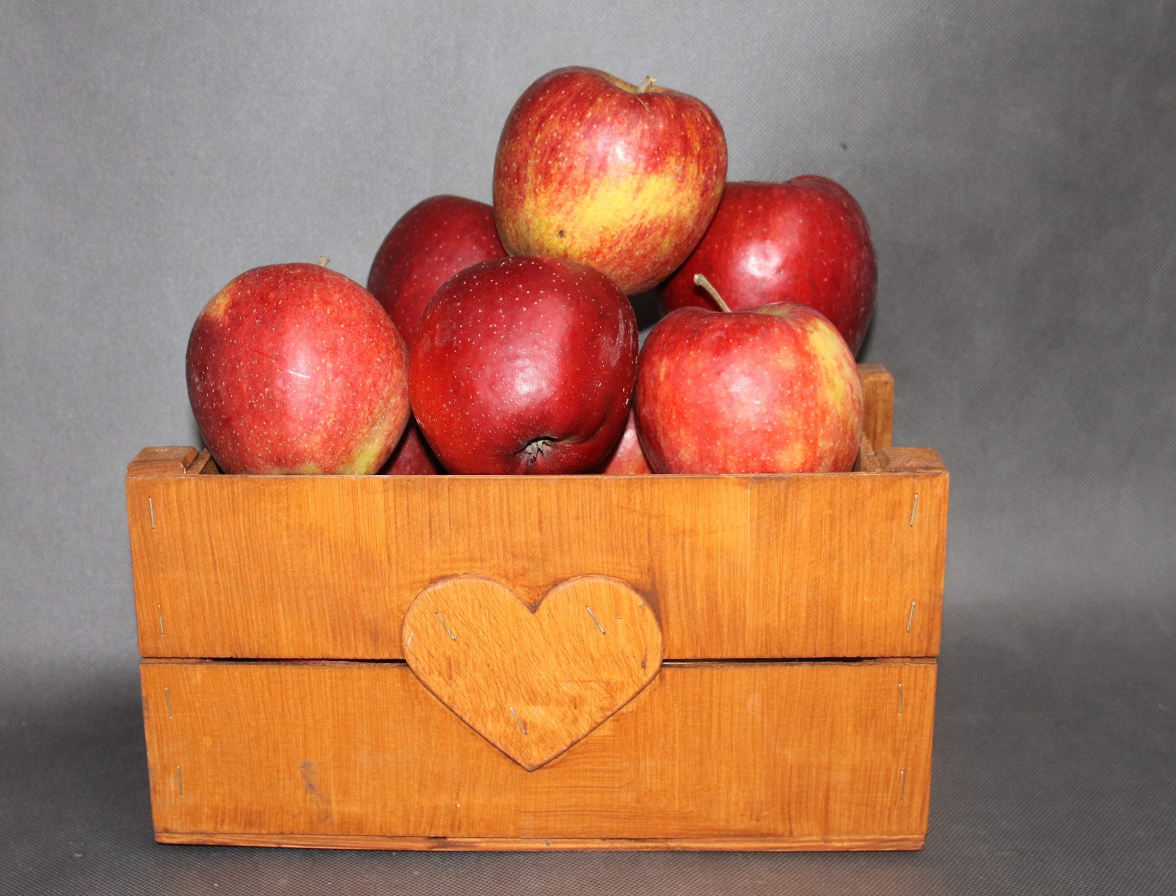 98ce4bddcd8e0313fe9e38dbb8698123