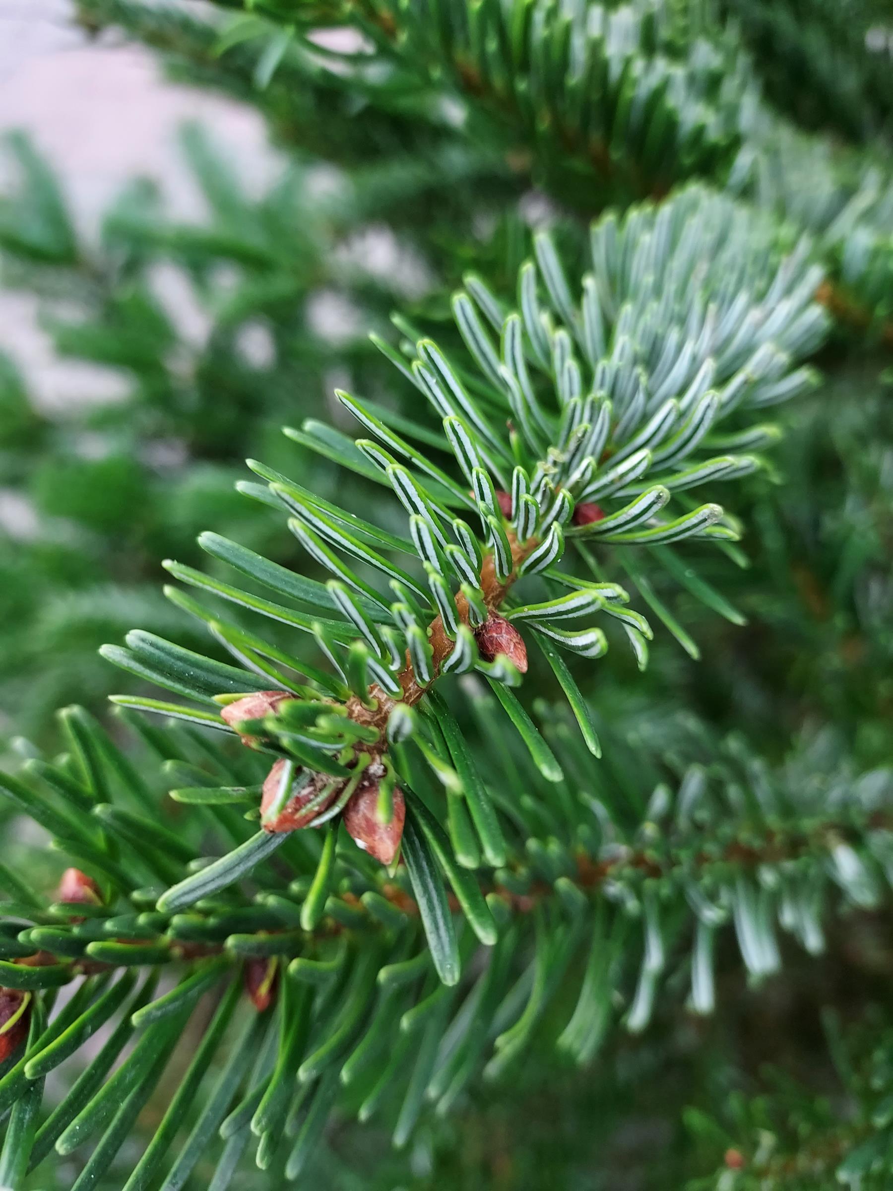 e63a495a0008a0ff02cfd485b6273ea6