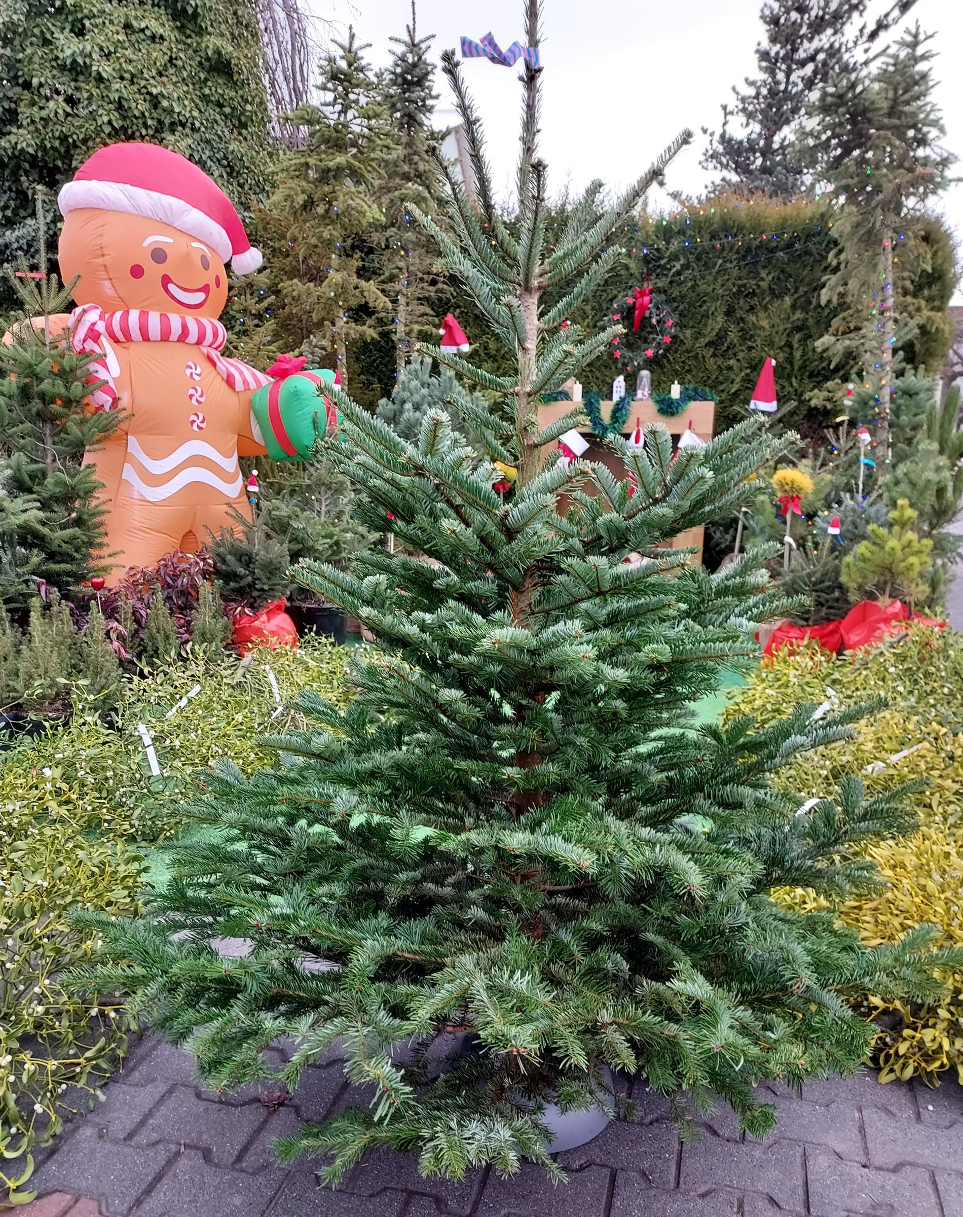 8c6f83b074a3d2814614951fa73bb913