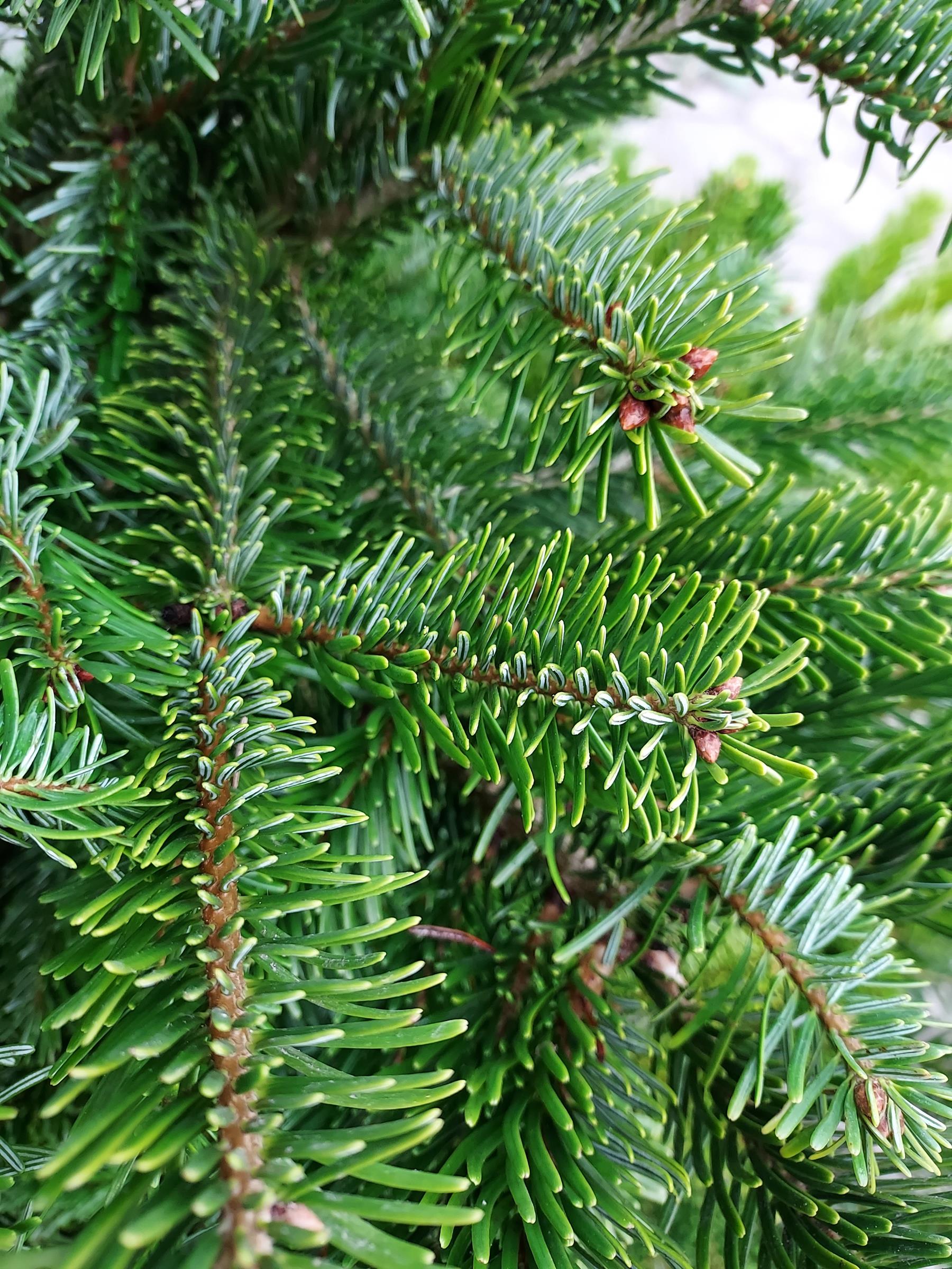 0a2c2122354407c10420dae869ec5d85