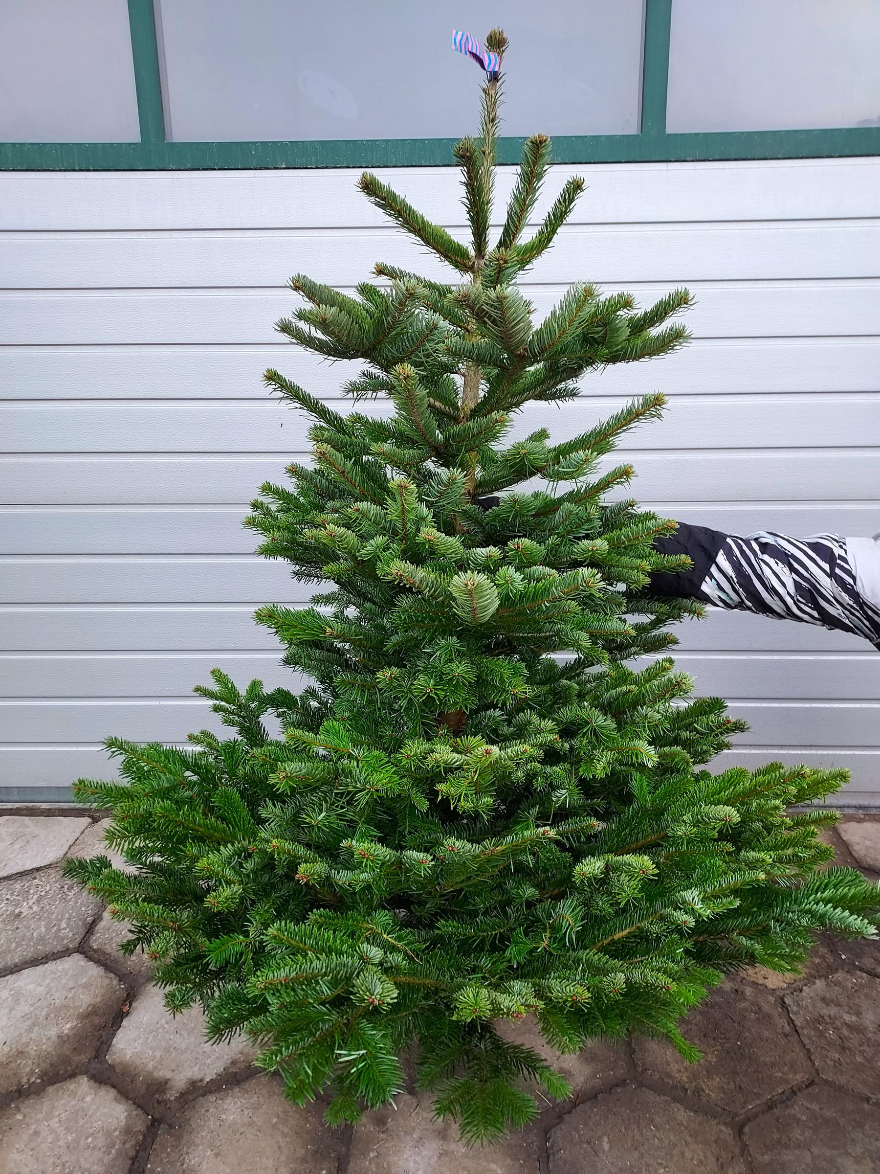 f3948d8cec6caf42330ddd0c263a485f