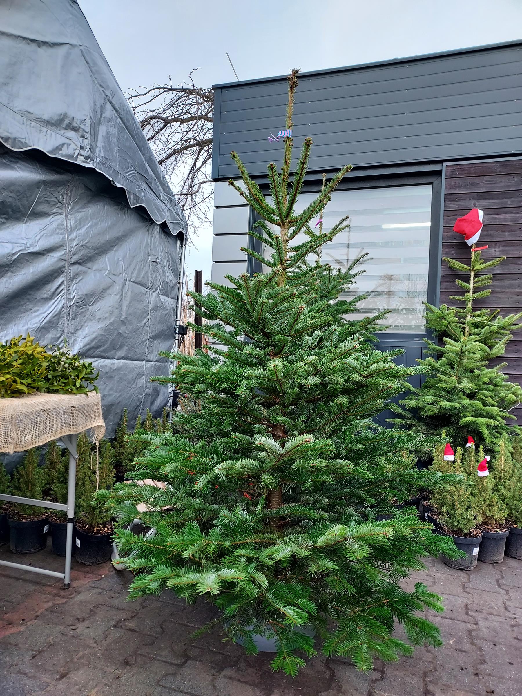 e6222161afdc18fb44e2e338ef81d7f9