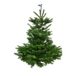 0adf35d1256aab9f92c6d11b7490f095