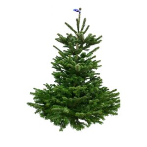 0adf35d1256aab9f92c6d11b7490f095