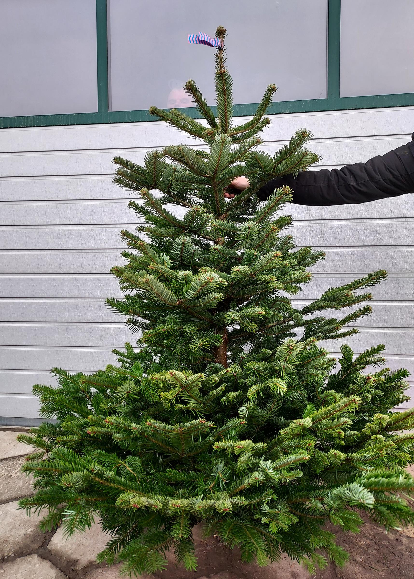 51414123a1e29533b0565a729d51c610