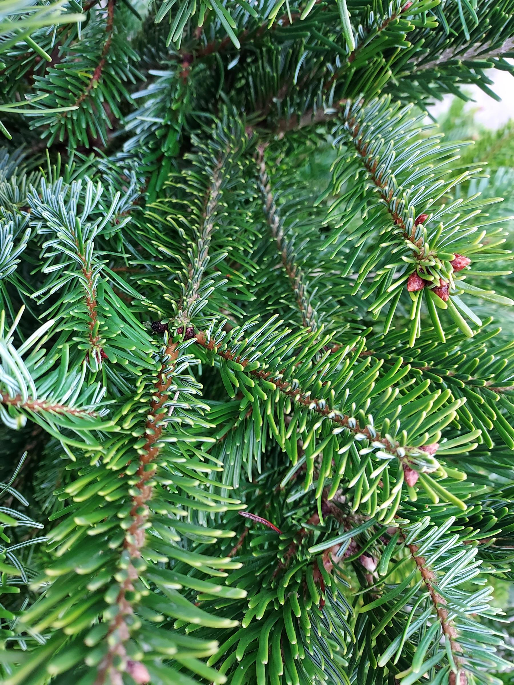 ce9cec5ce2f327b9005603fc77883b36