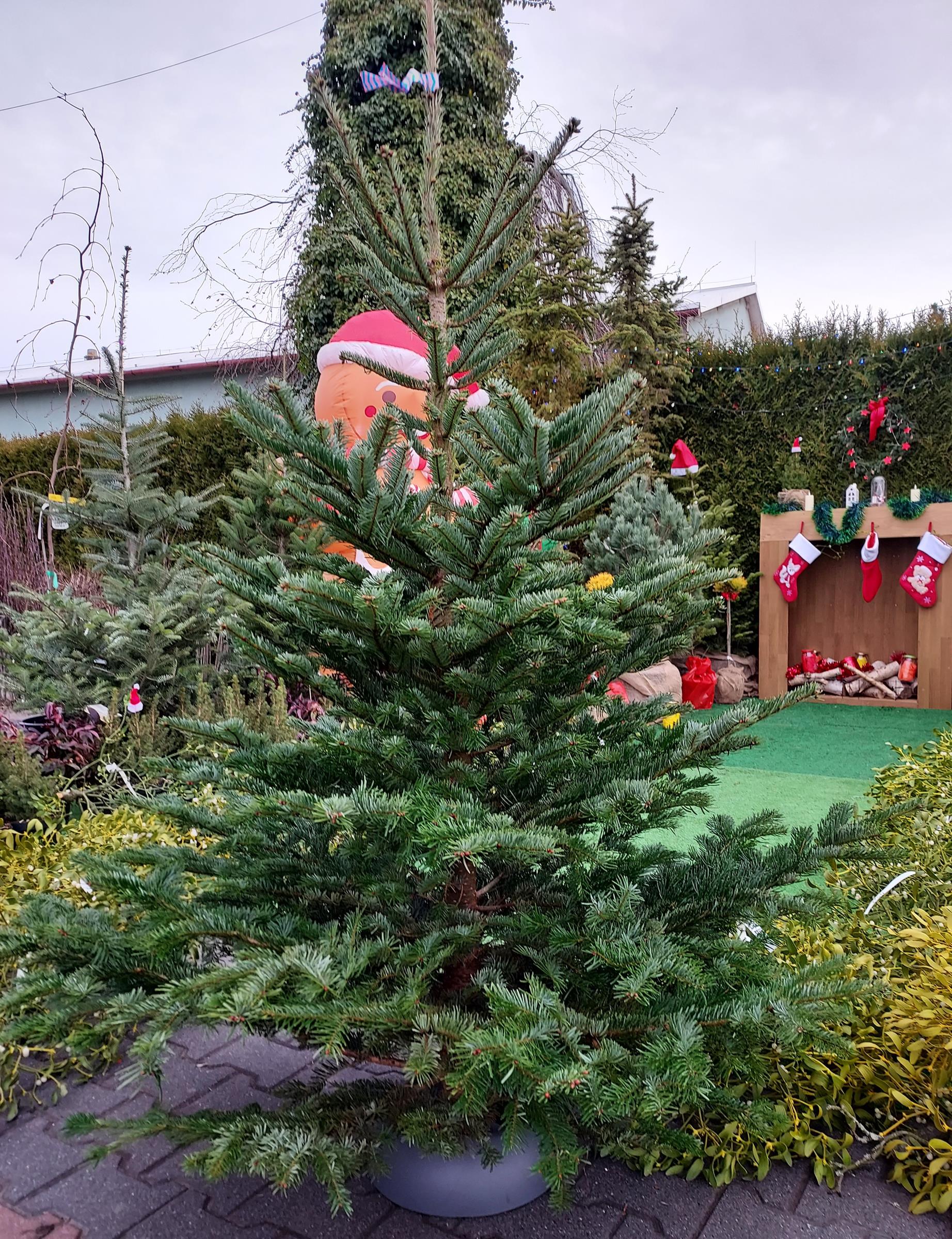 02e9d172b72d4cdbc641ba14a5db9d81