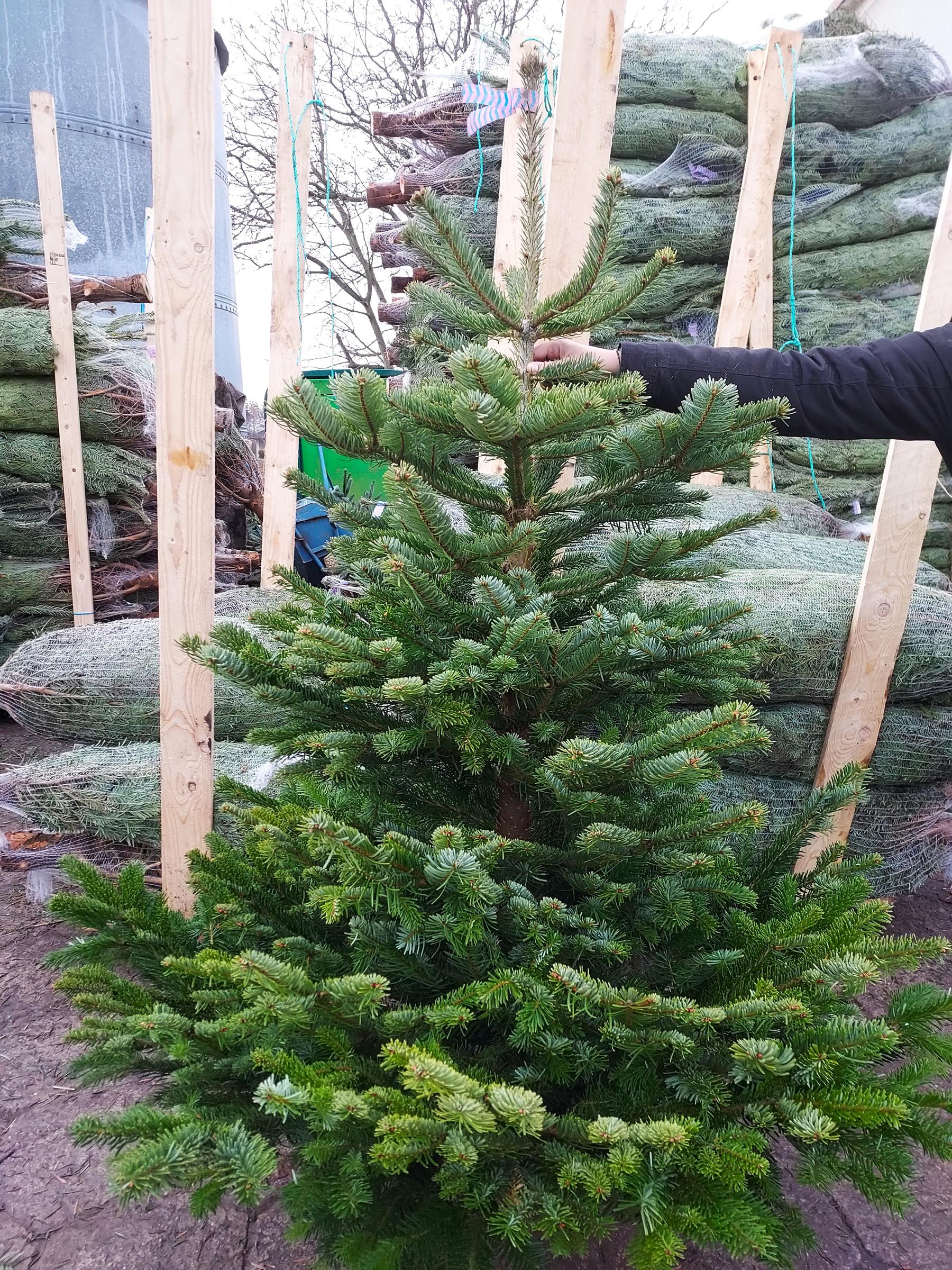 61a9f078d2fc774ba1a20a2a544da12a