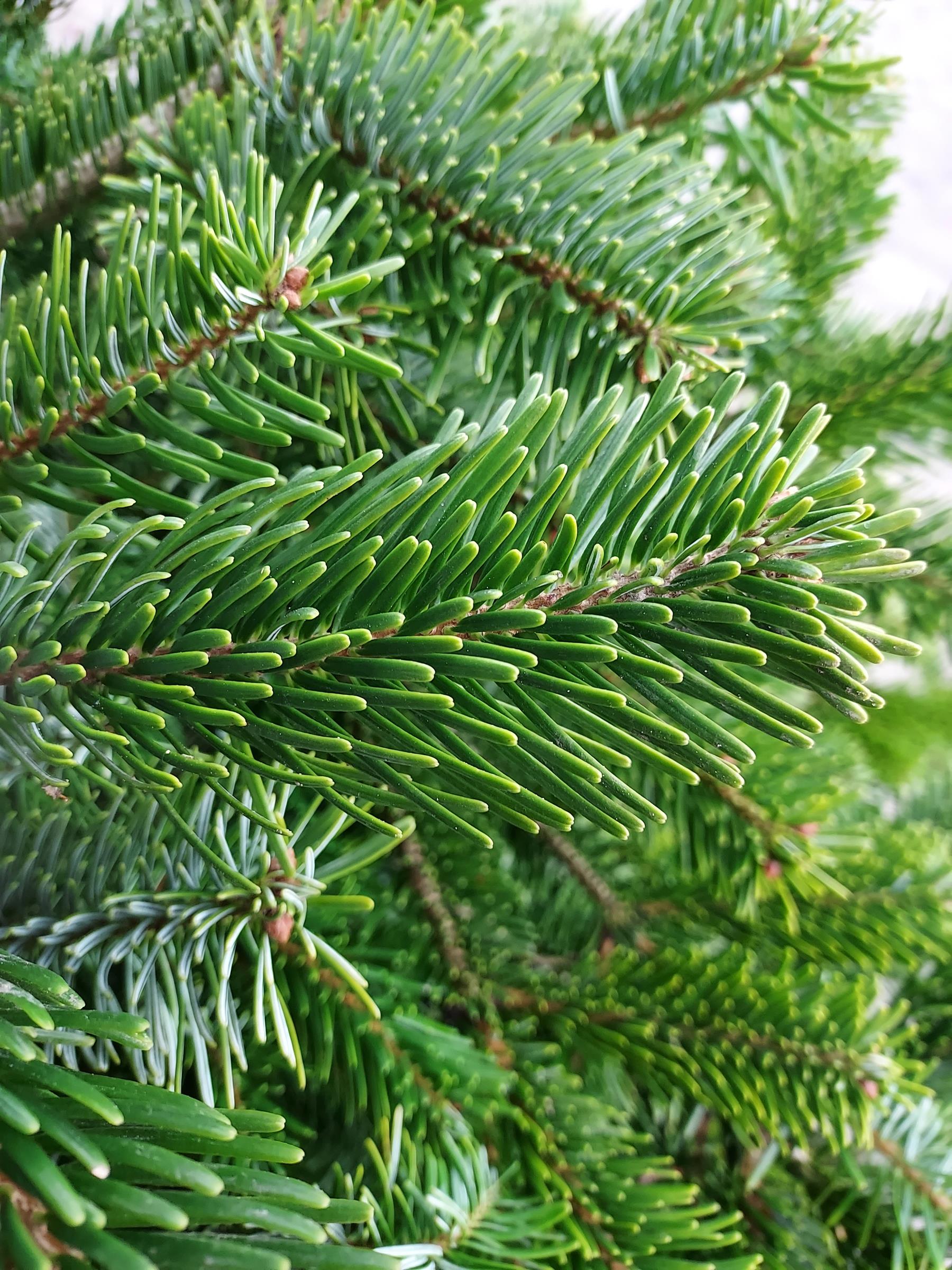 7d82934cc7aef92acb6fa4ce7f398228