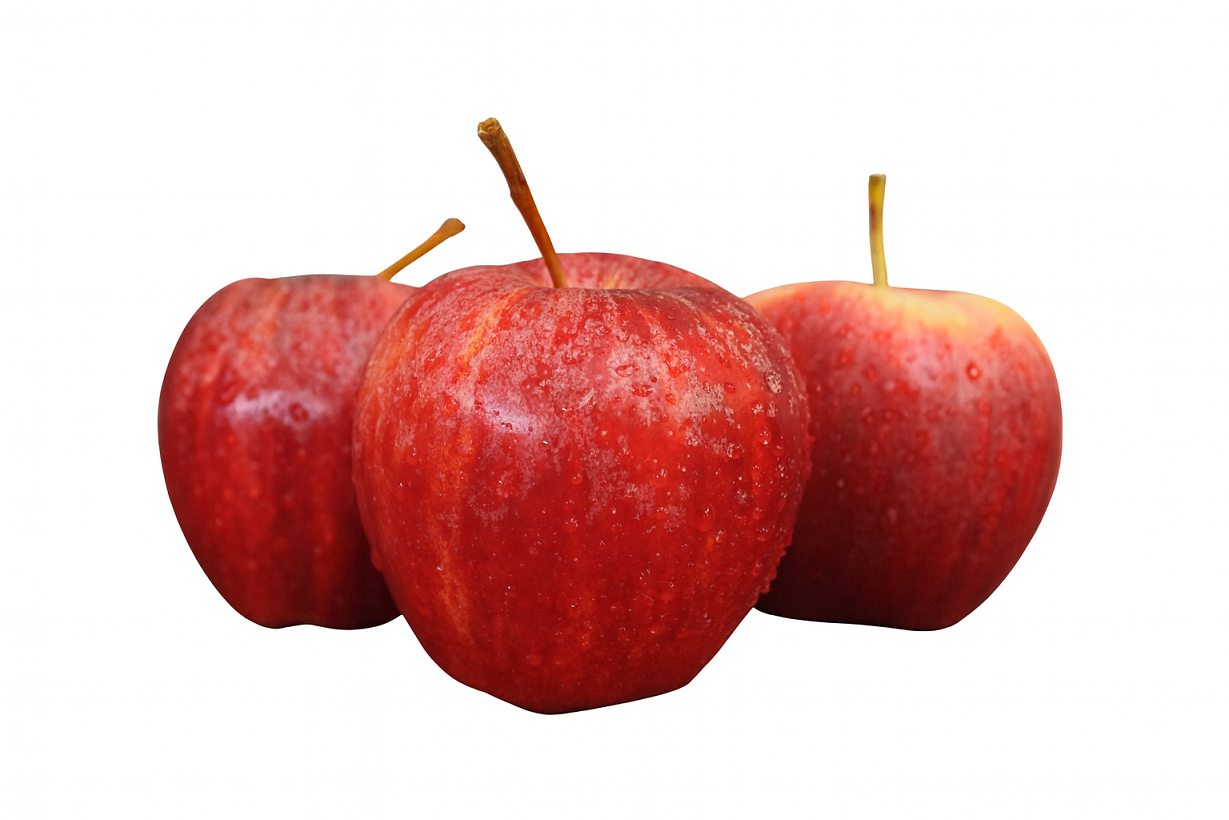 36aa3c23032507f256fc90dcd5a9a239