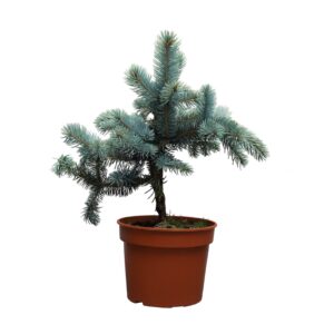 f203eb71447eacbbe49c31b3240e00e7