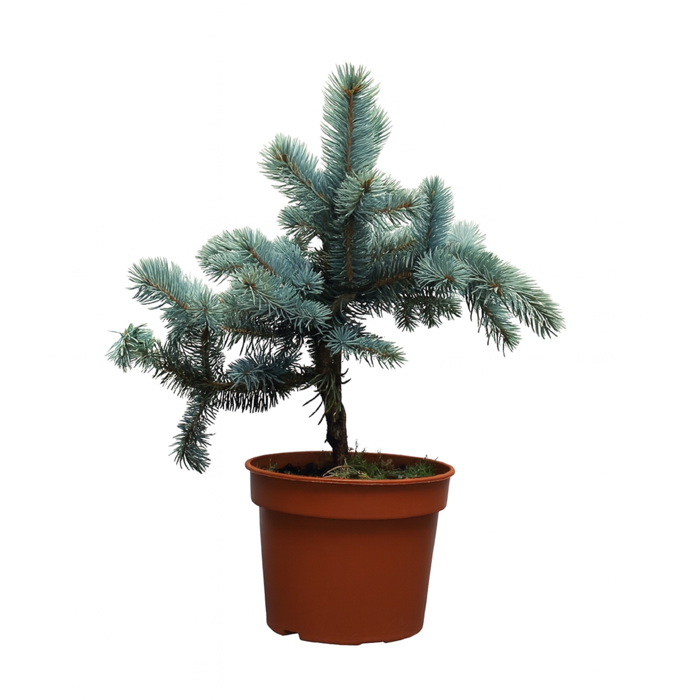 f203eb71447eacbbe49c31b3240e00e7