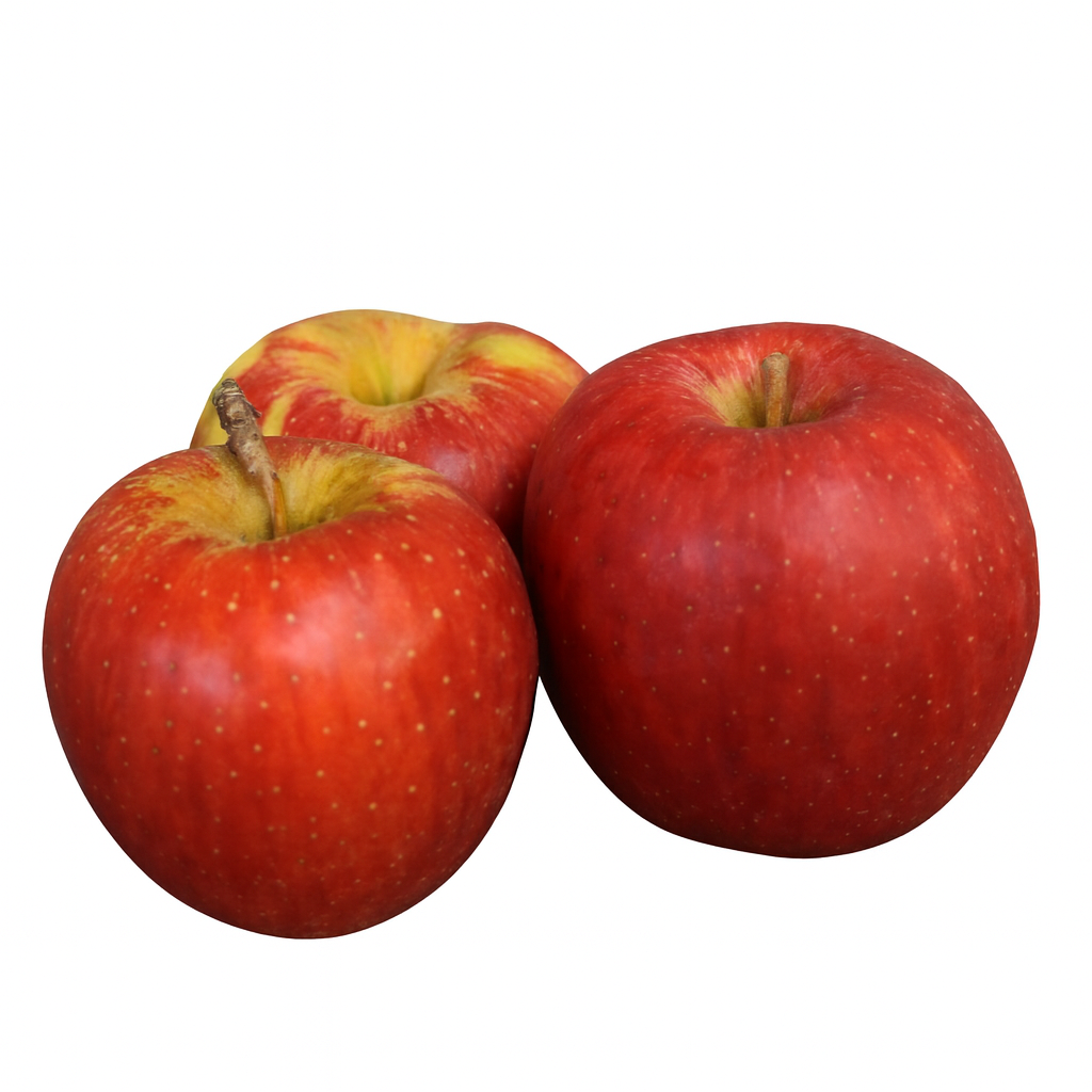 e817f67e90f7530b8555c67aeda8f20b