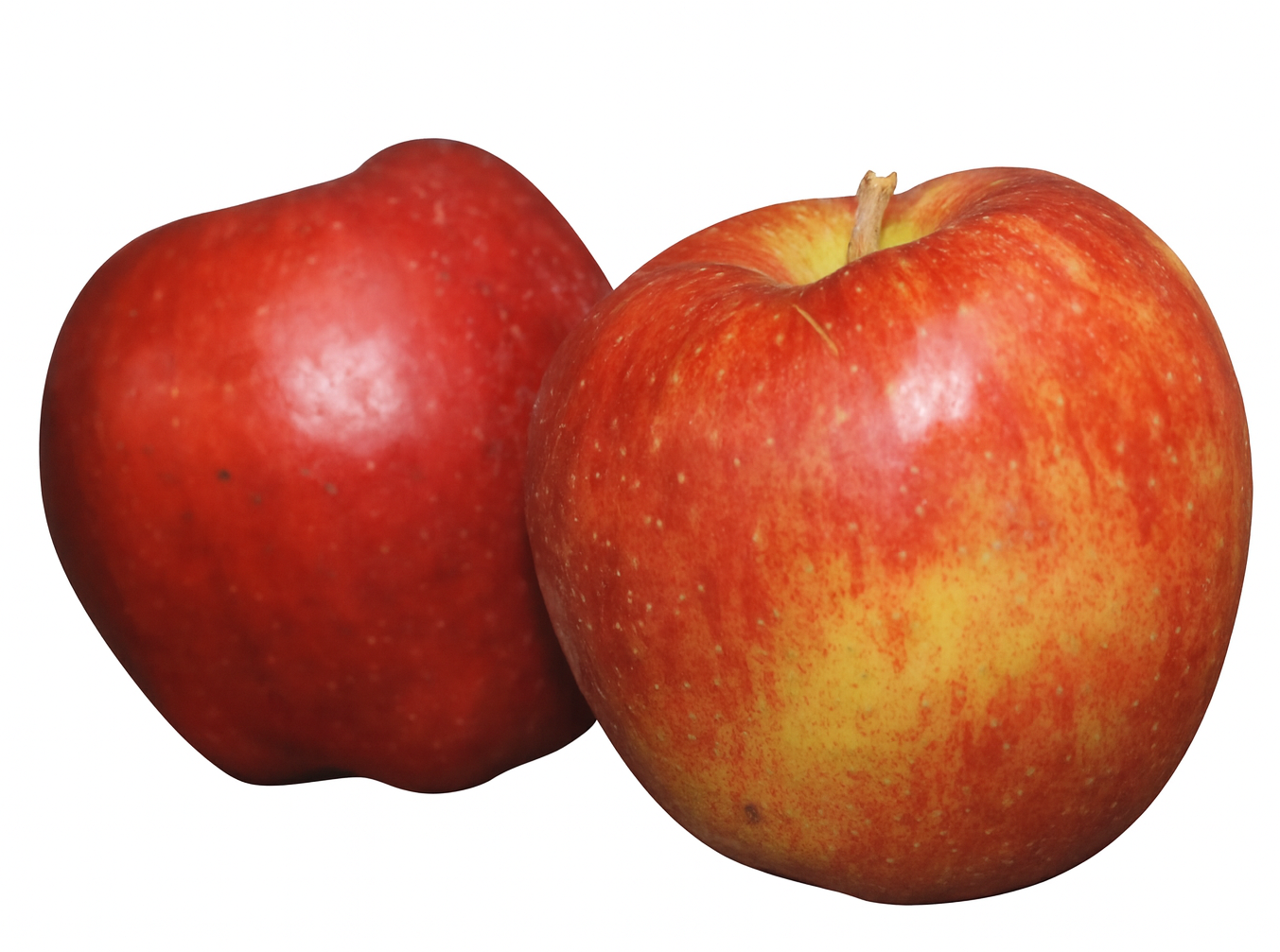 672b59734565fea58ebd0a7ea6b56491