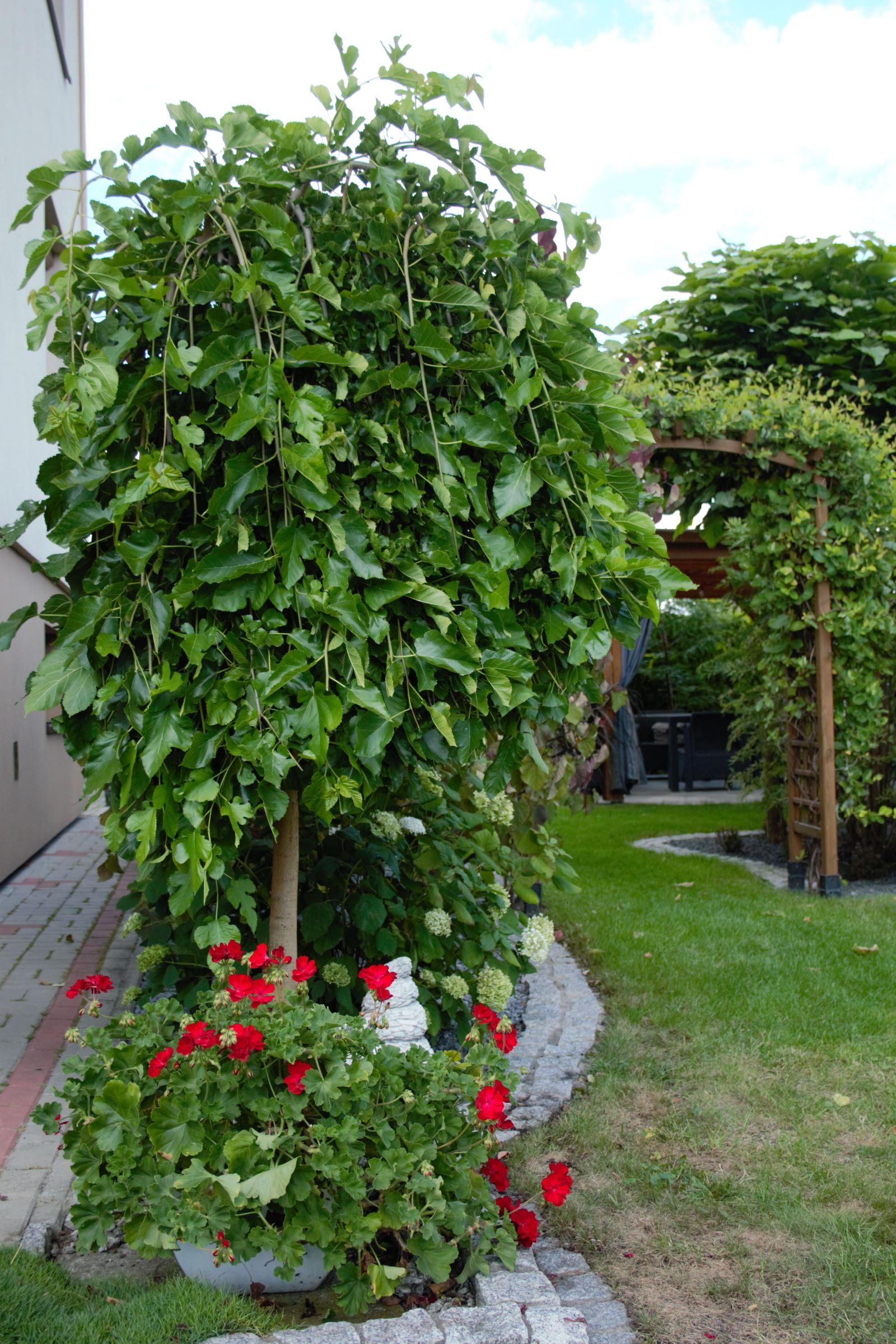 44afa19916ca52f41d526b1bc190f9e9