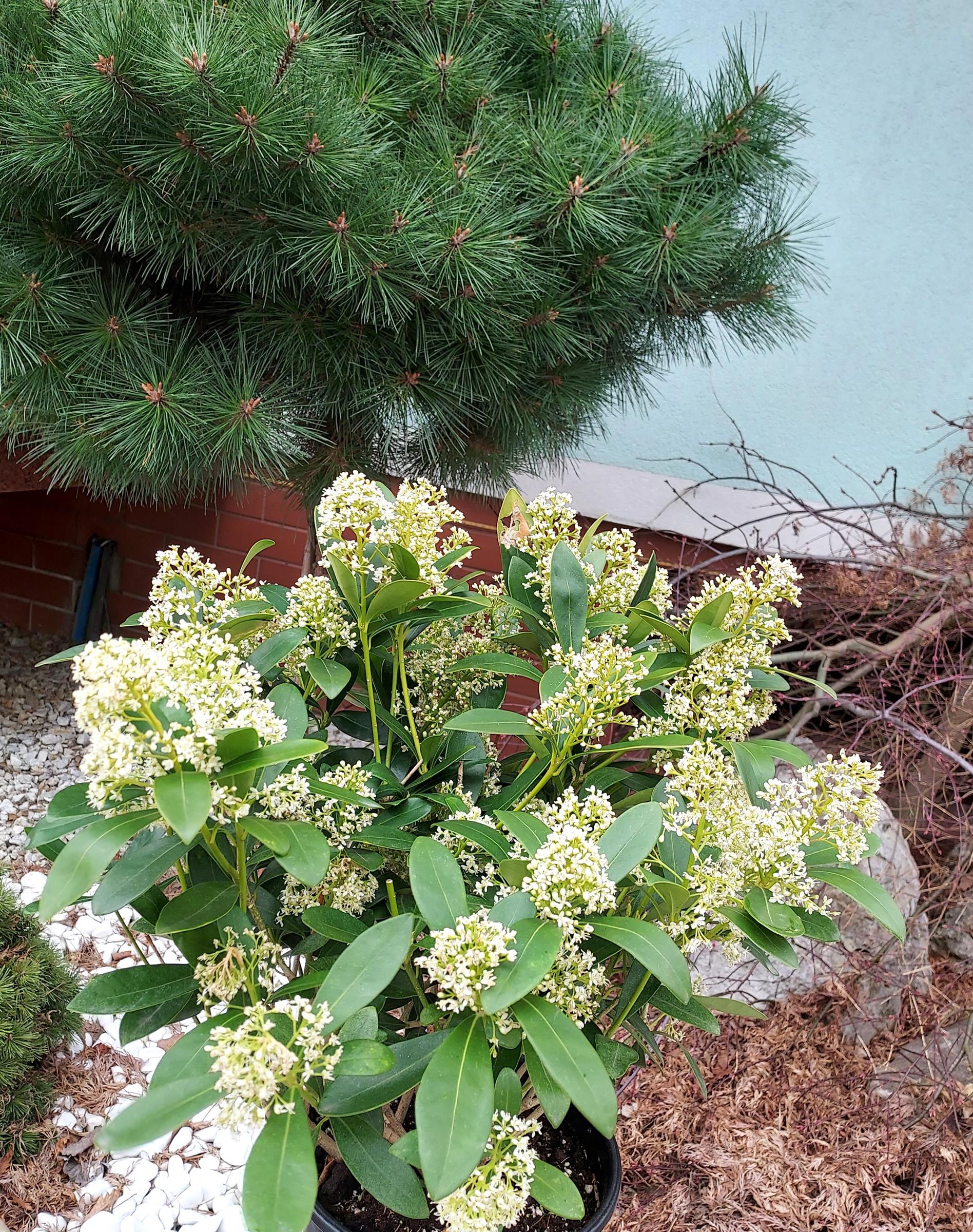 e5fc47d5a313bb22ea4602cb837bb0ca