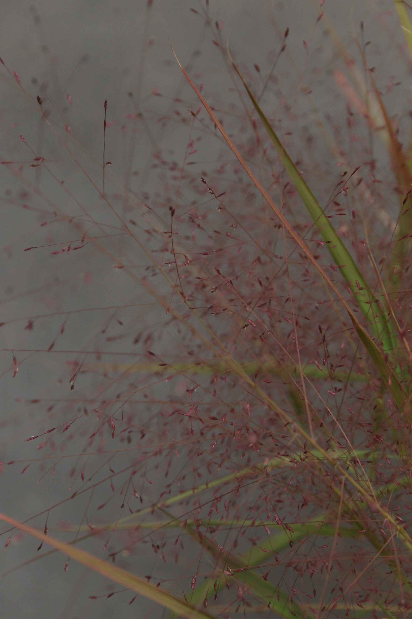 63b4dad44461dc22cb28450d8a0808a9