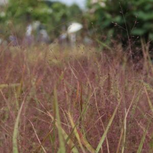 631c613cde6f778a726731b5a526aa93