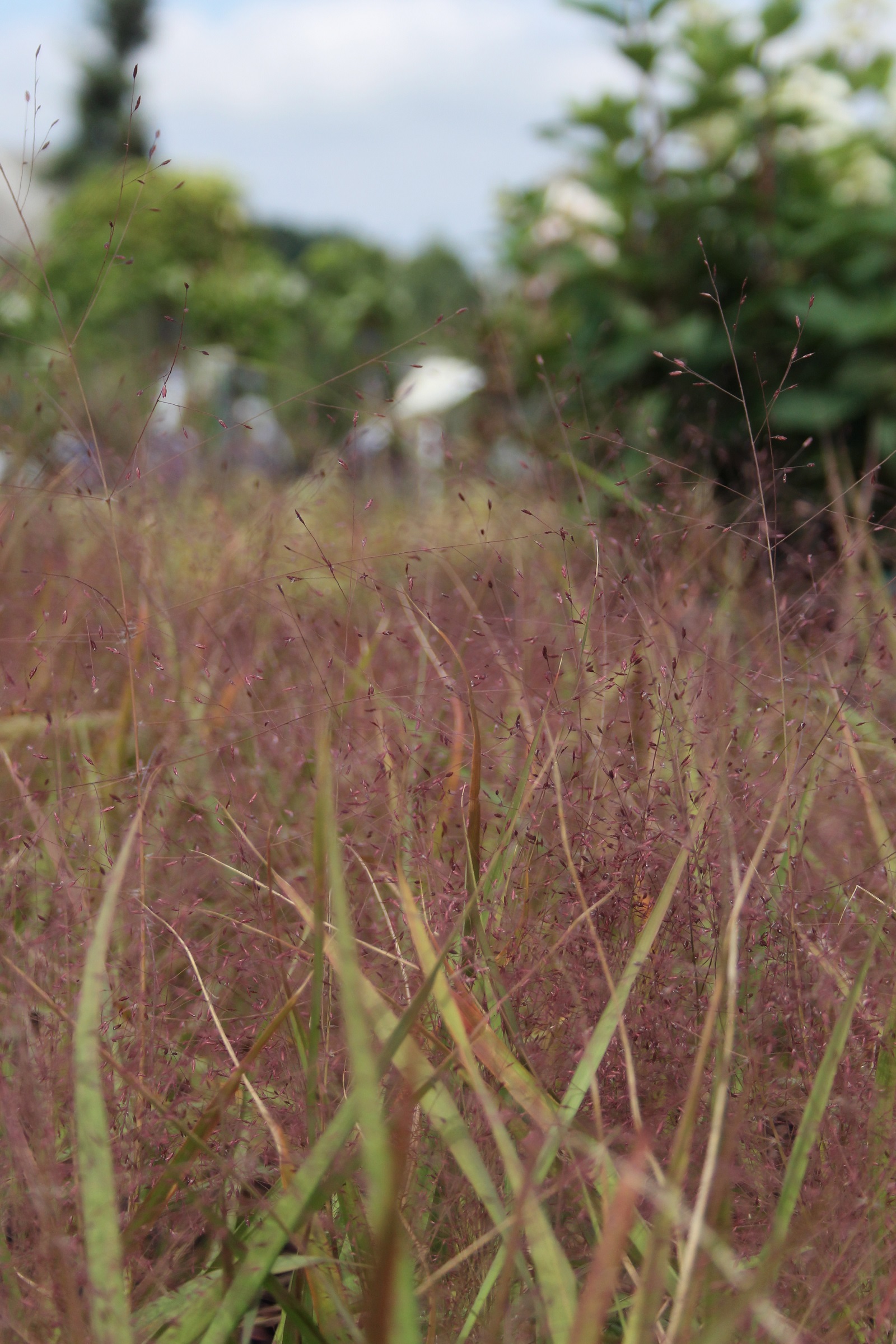 631c613cde6f778a726731b5a526aa93