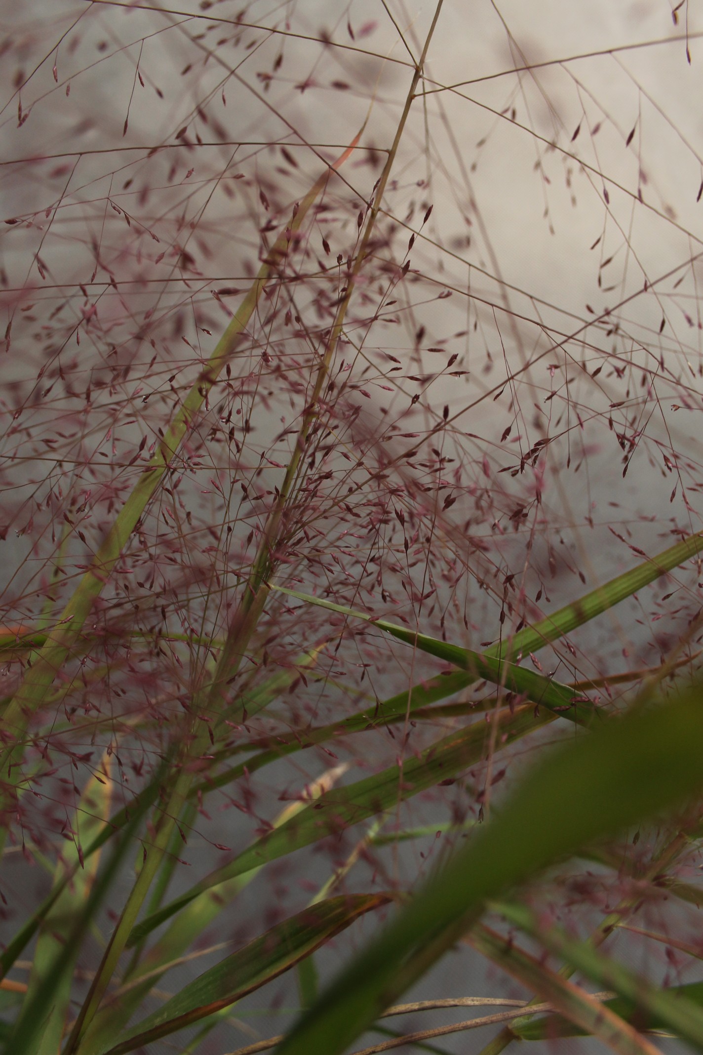 fa690451e5343d083bb459129923fcf6