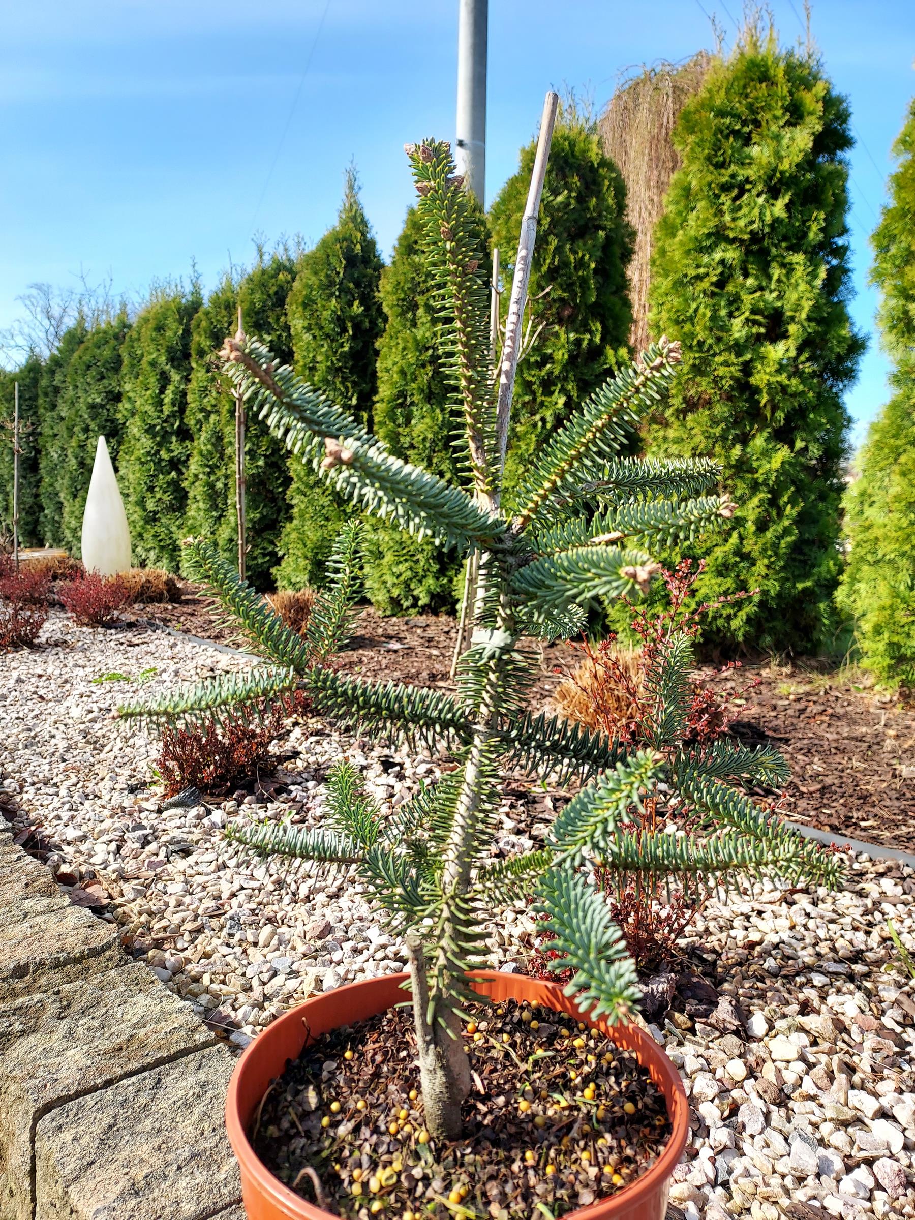 6f005df340ae039efb32e8385403f7e2