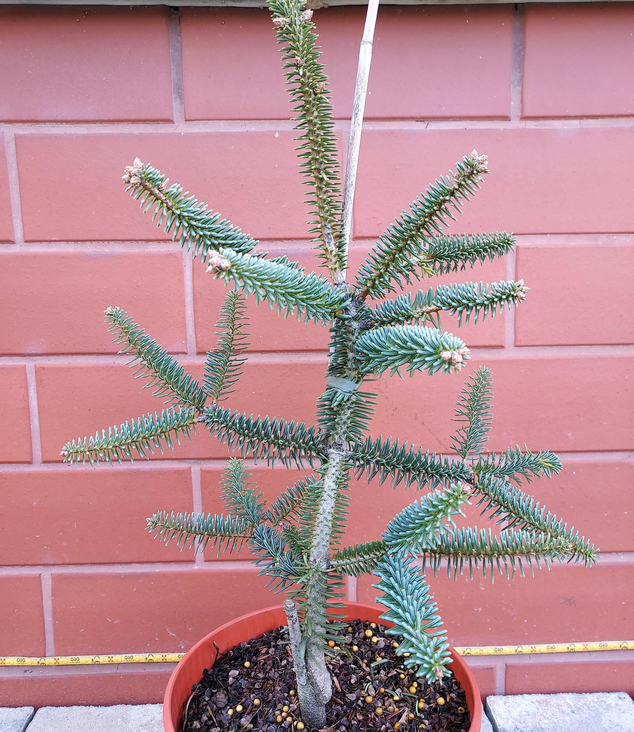 ceda7b94573554adbc3f685a4b35de36