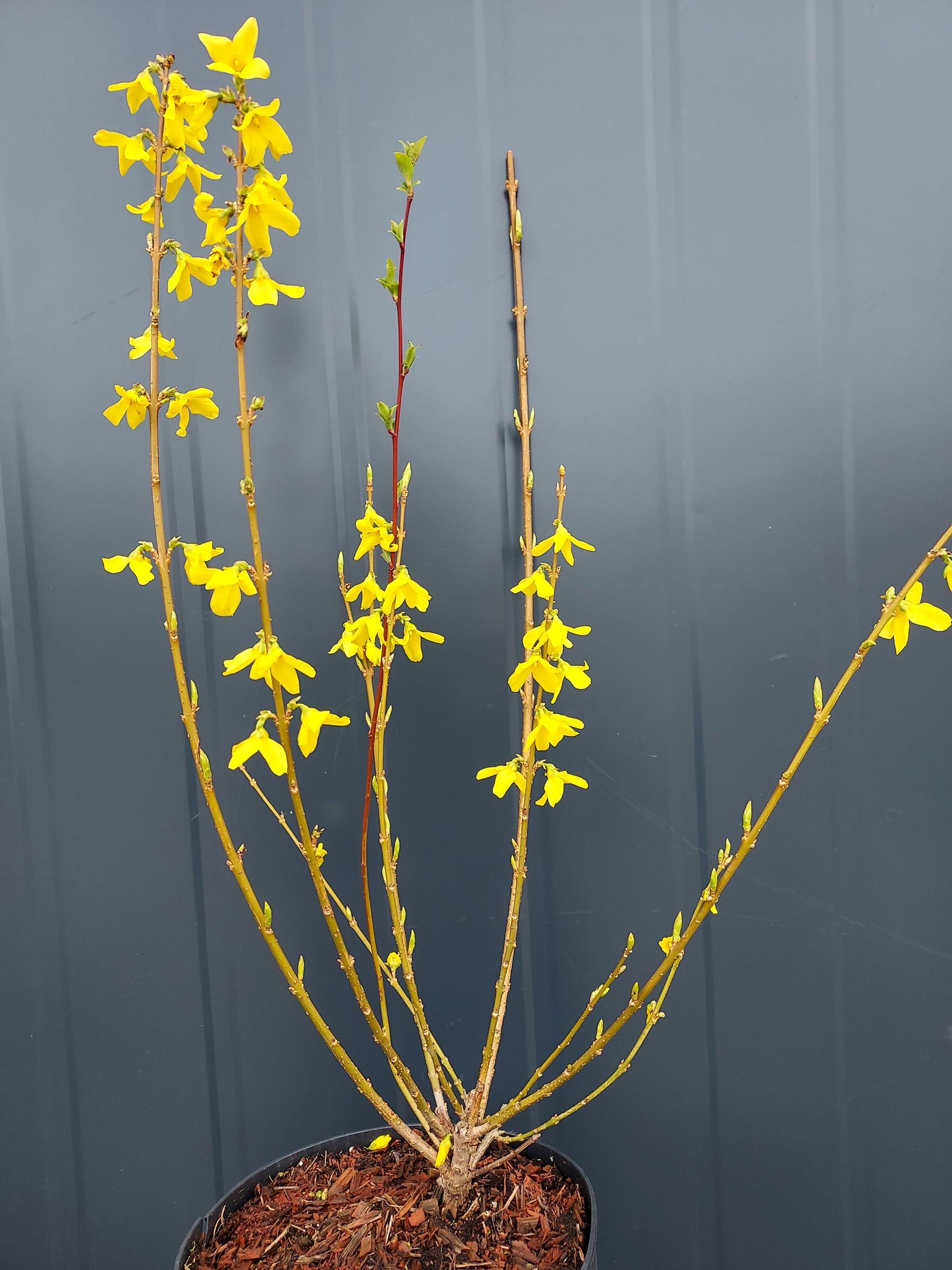 a6cf7b1072e03ef8b43f45a93ec533c1