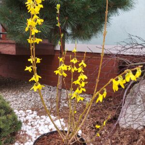 e94f6cad84e87fd03e5144ca47146788