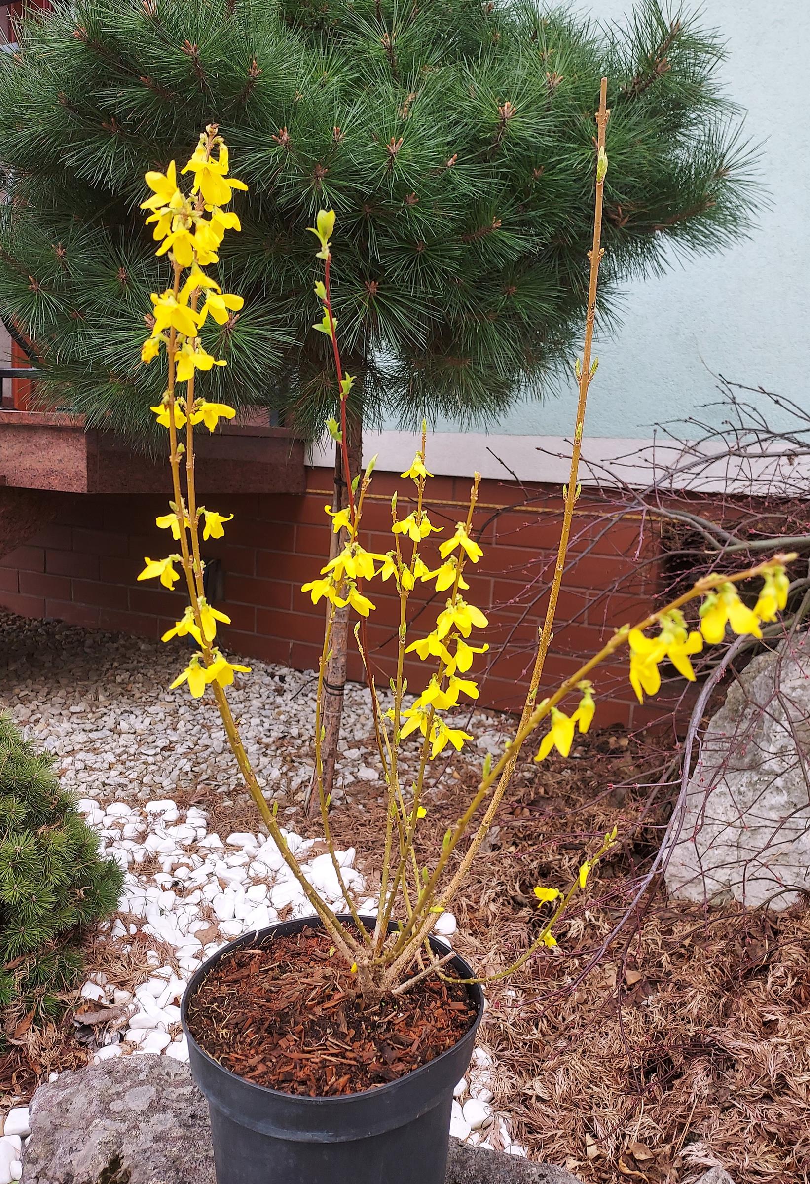 e94f6cad84e87fd03e5144ca47146788