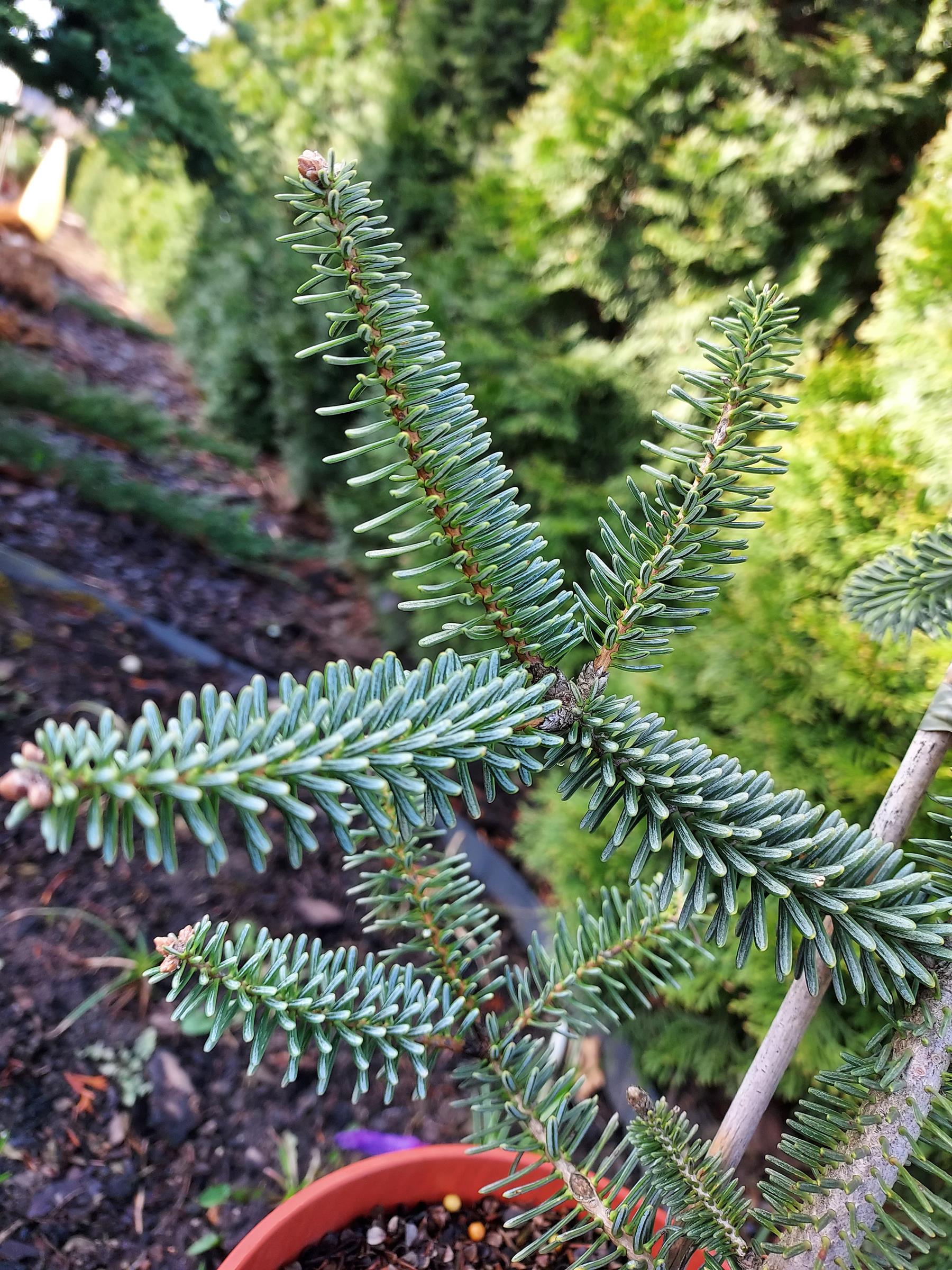 5f0e6b56fe31affc3c73e0e8a2c1d6be