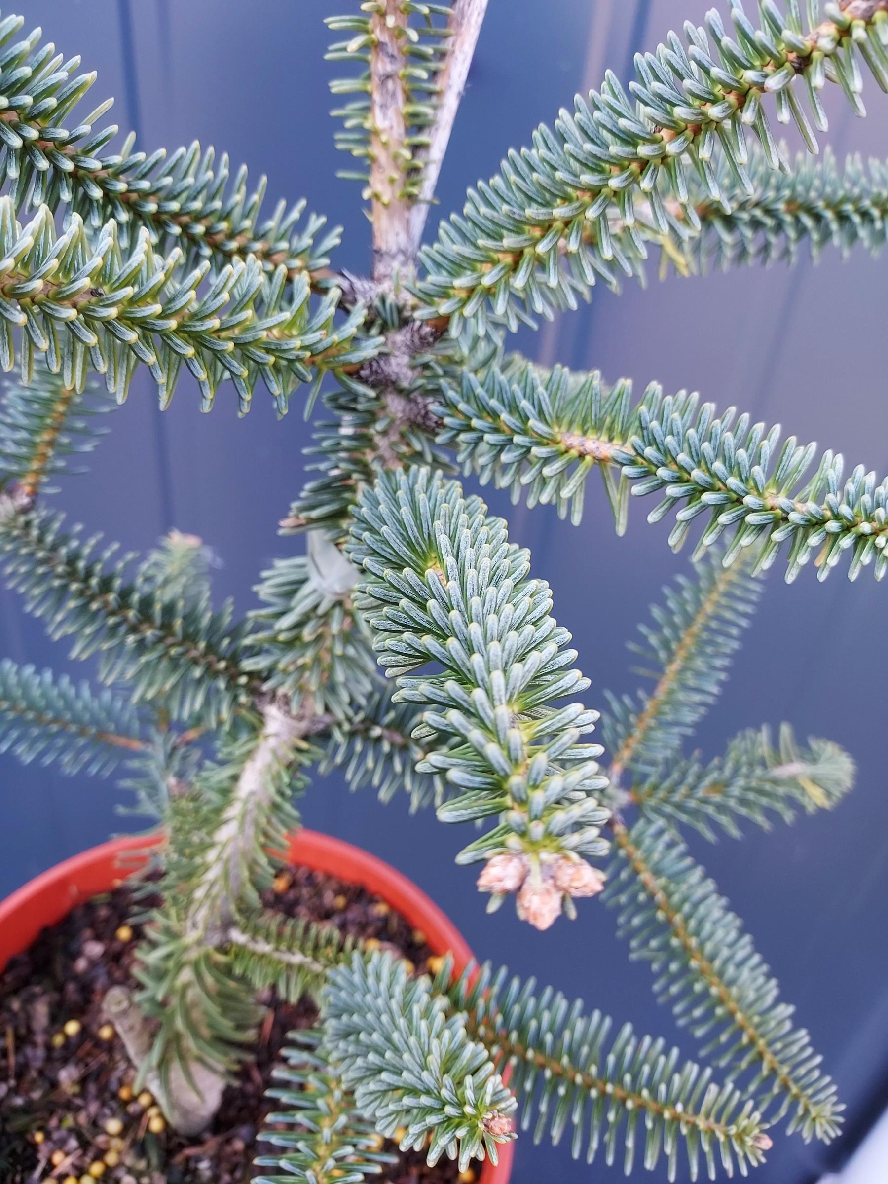 0b8d82d0419b340dcd703e70cb7f91ed