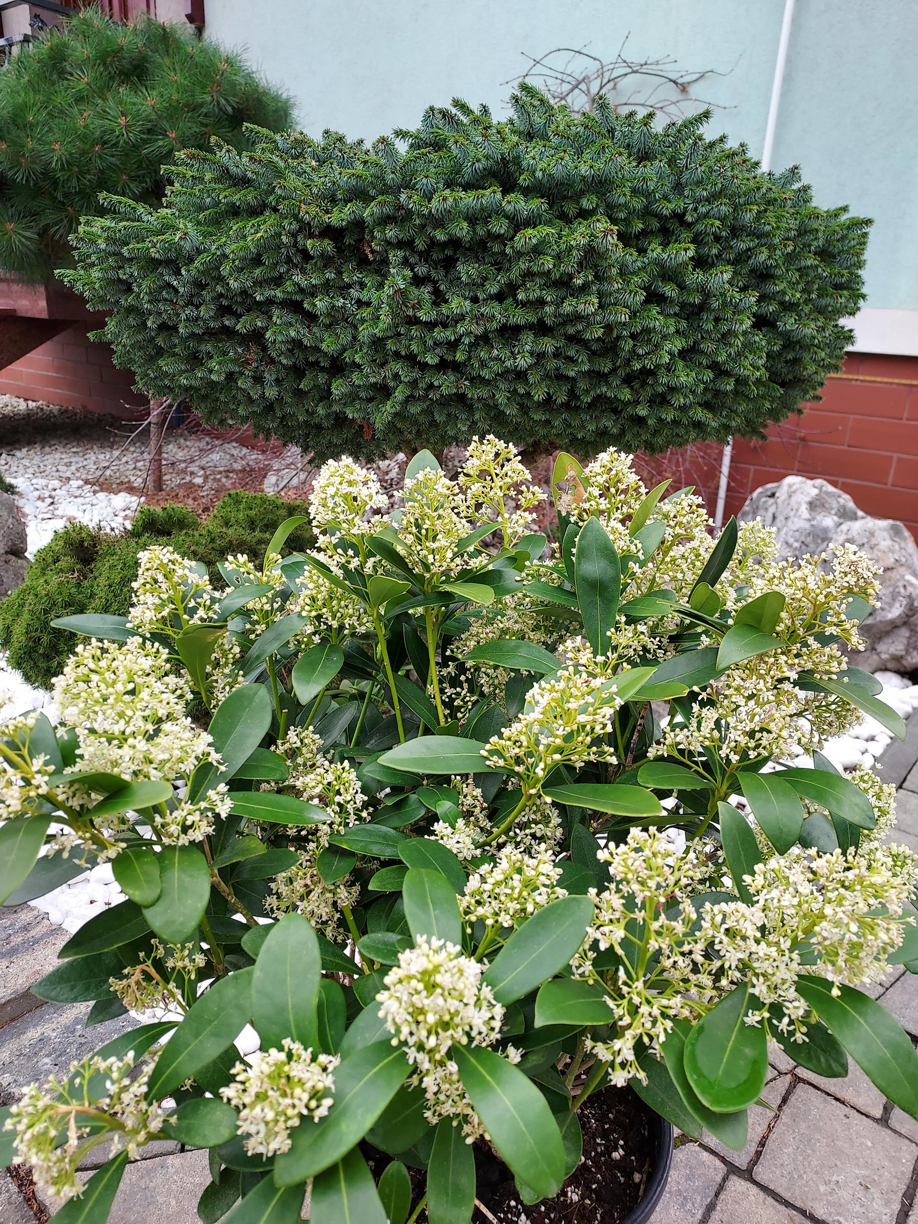 39aebca18903228ea61667b5f0f717c6