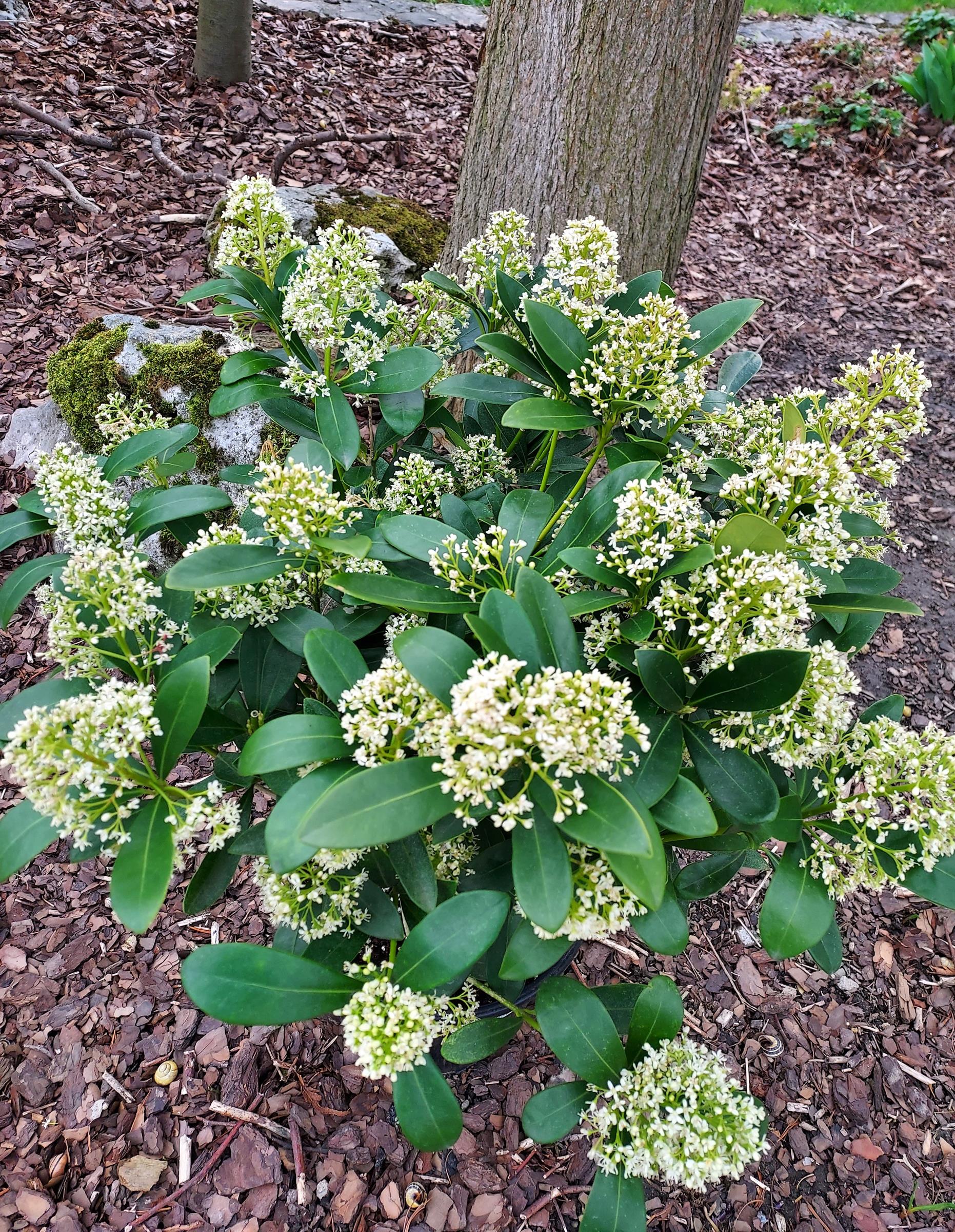 e5f6edca2208a7e364367ca87d7ae67c