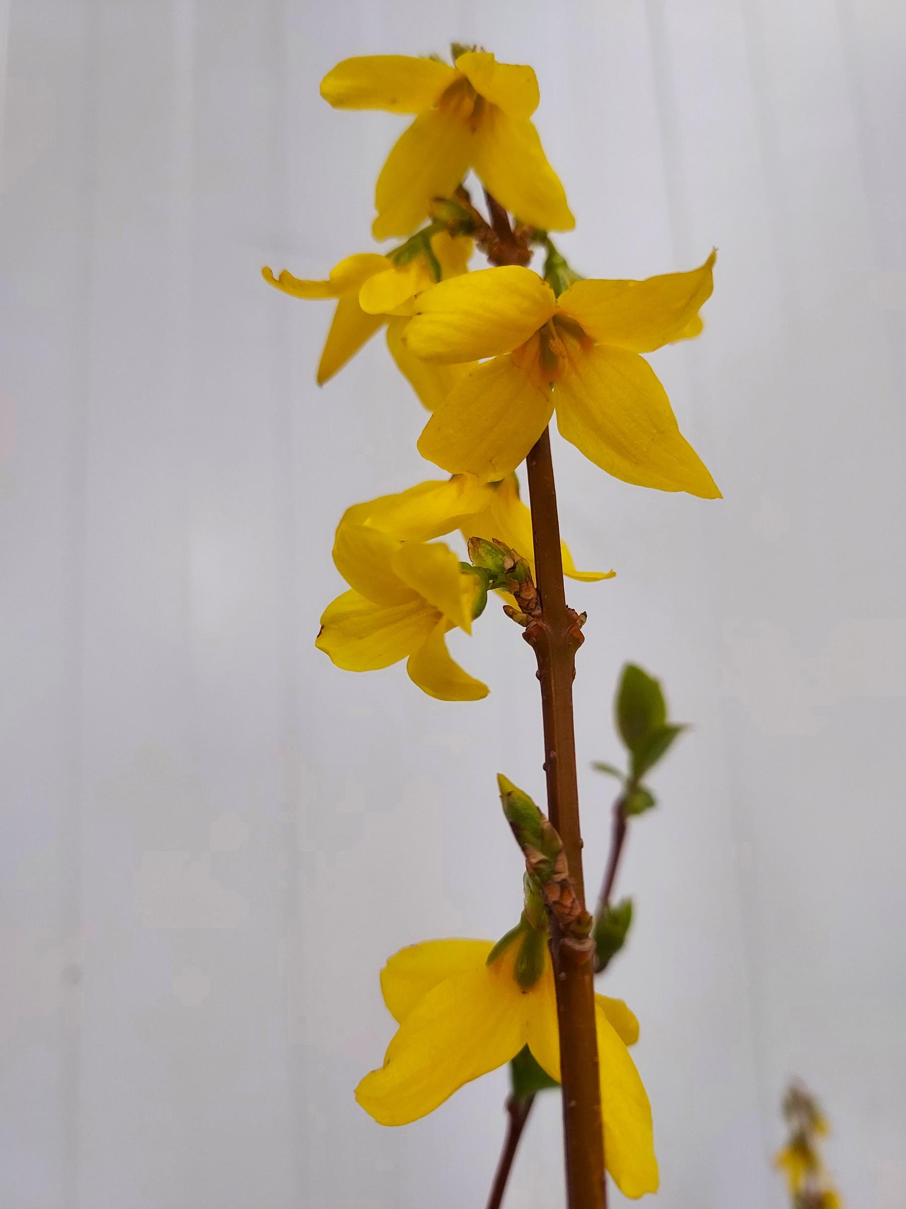 44a41d316d9618b0d3c87da9899ff2b5