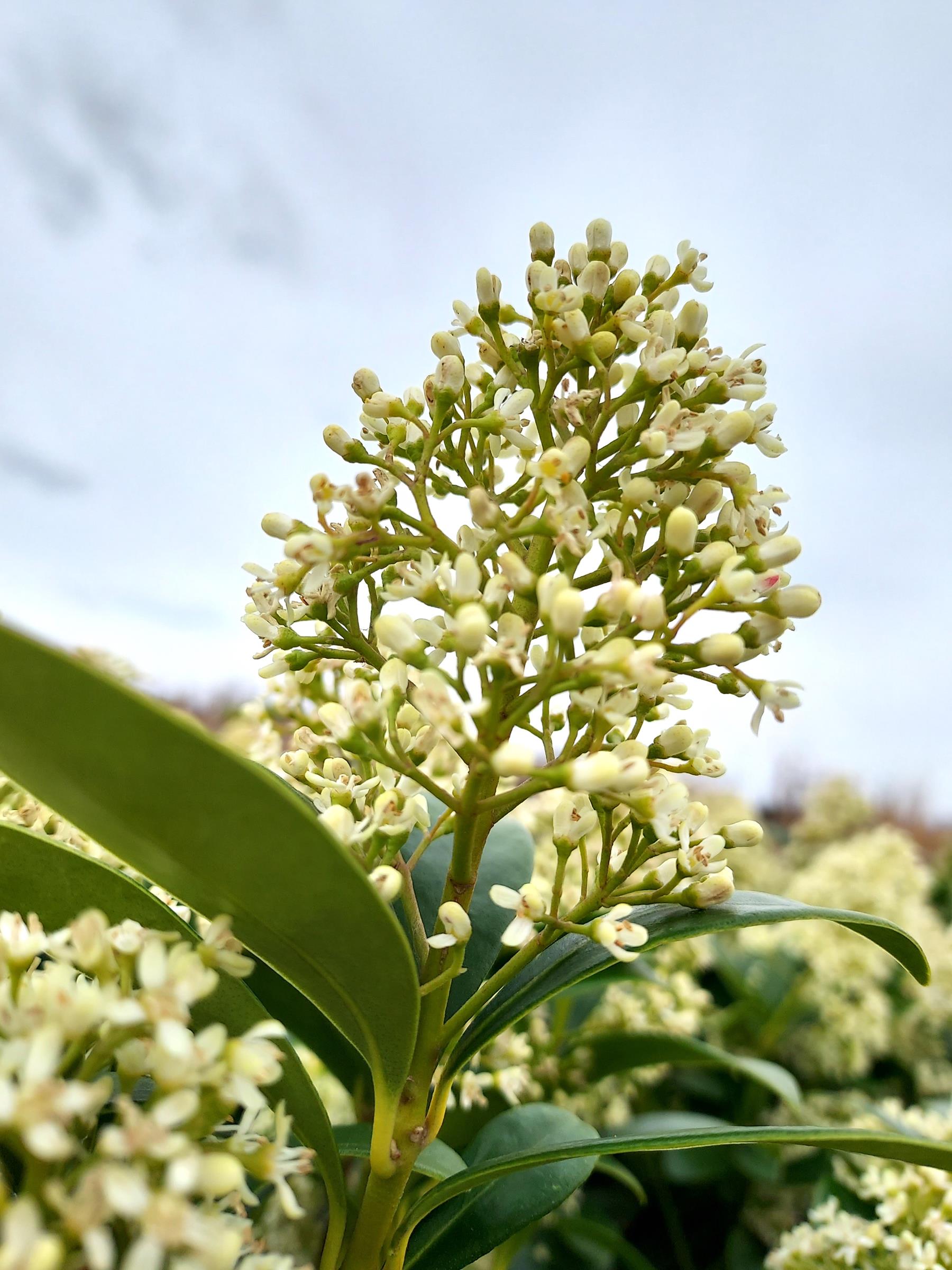 12af56d45bee2d62373440a503a9a2ed