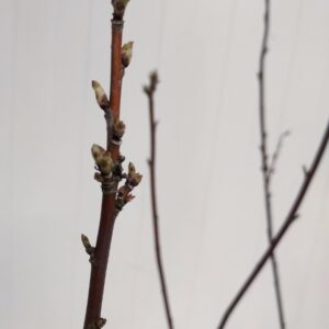 10b5a87ab12660c28e9cd0e15b8a8ee5