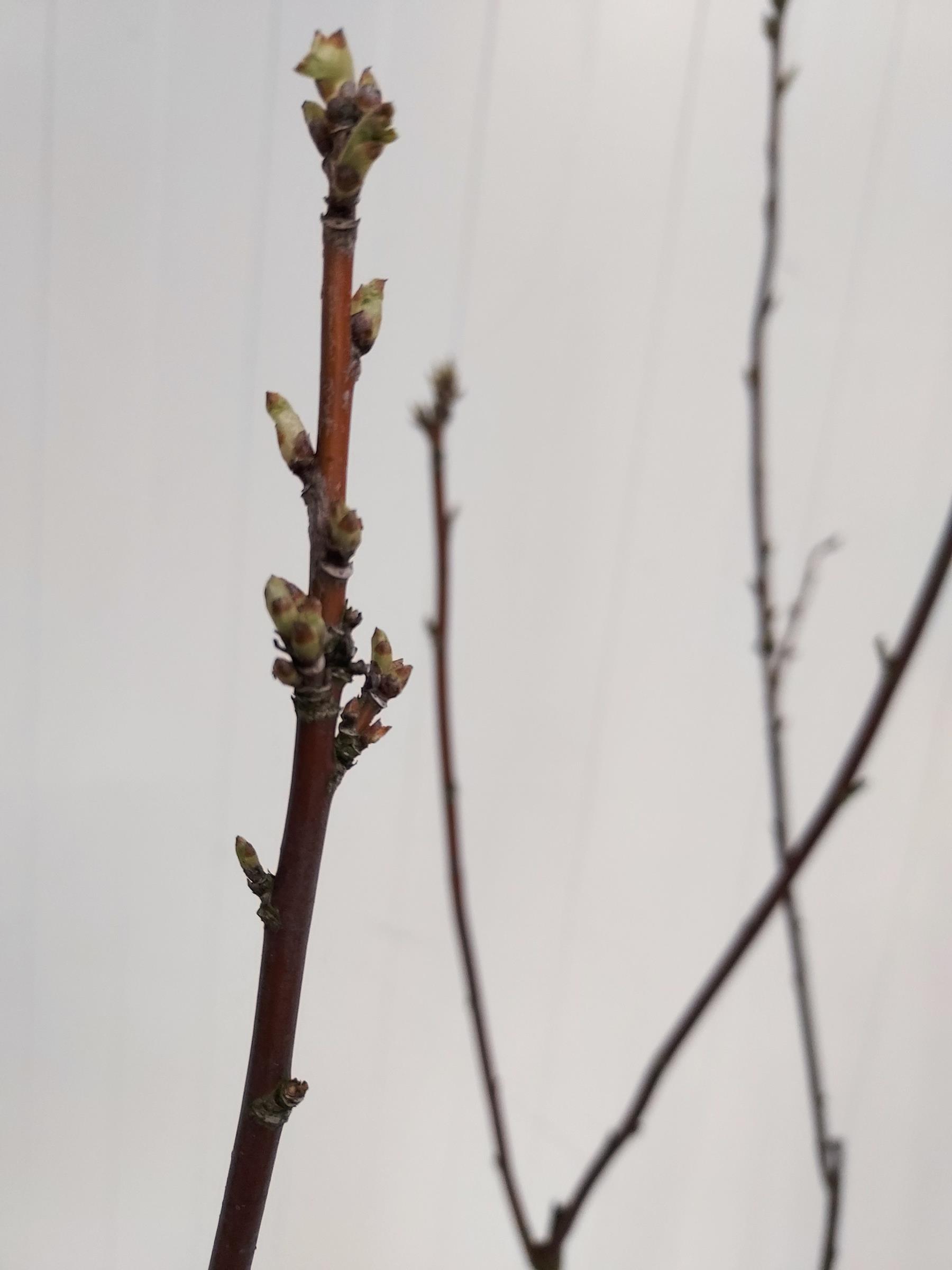 10b5a87ab12660c28e9cd0e15b8a8ee5