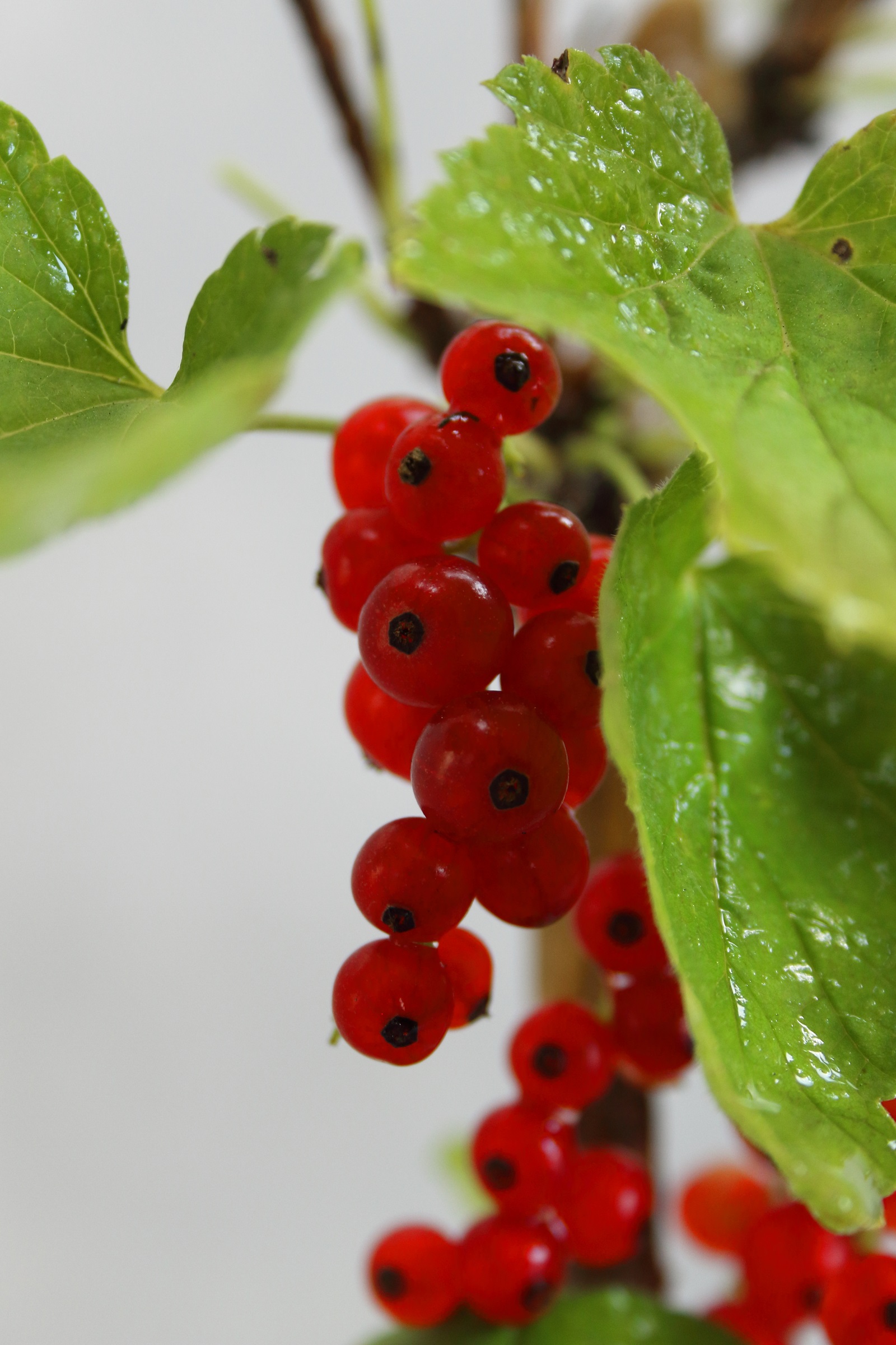 9bc7998c92fa785027bd73dbd775a88e