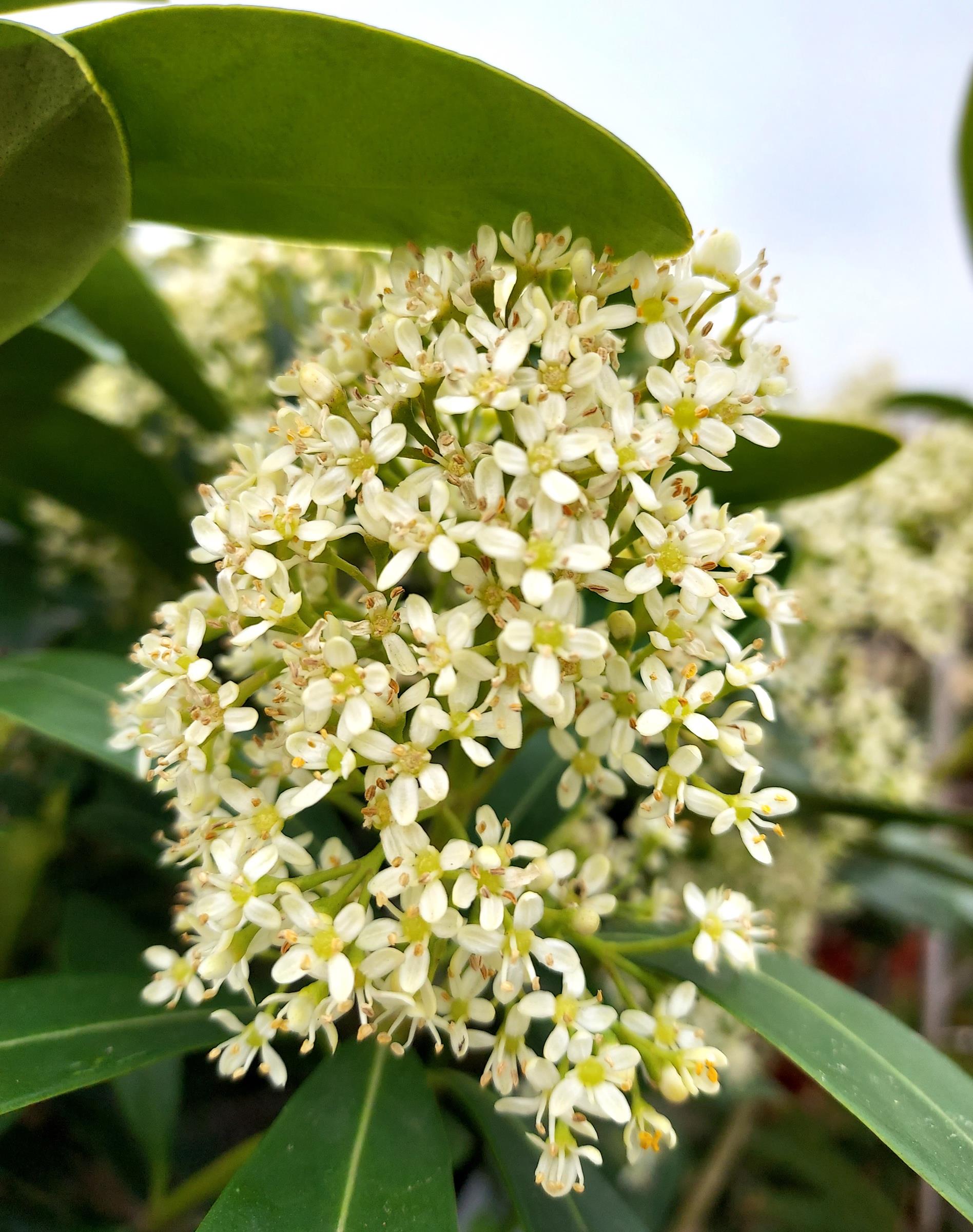 36f5700393a0886fb89e5be623b9a189