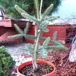 5980c5726aed358698ddf31b10a4285c