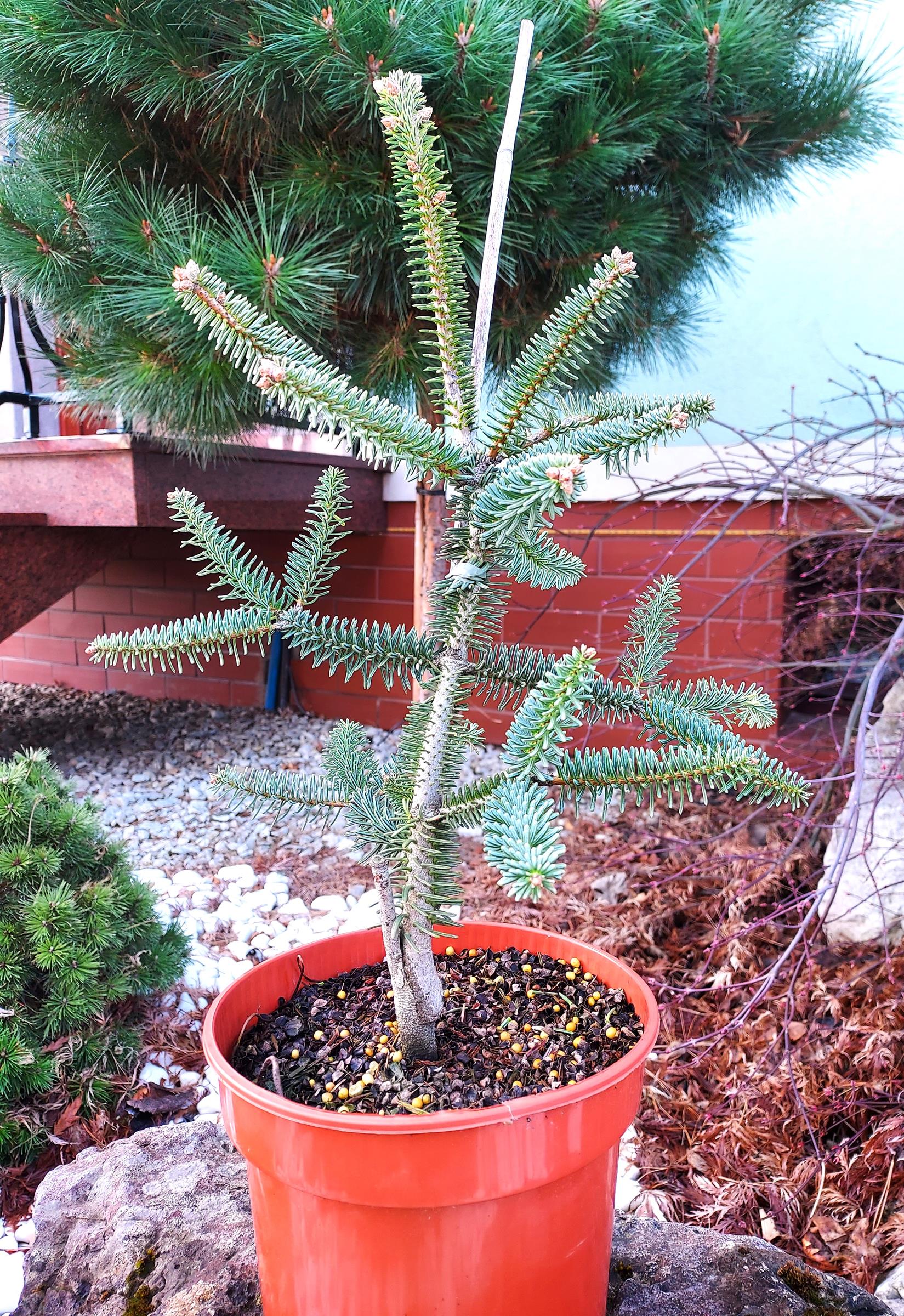 5980c5726aed358698ddf31b10a4285c