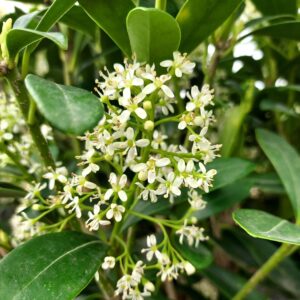 9f39a70c4ff8ec09beb882a984a846d6