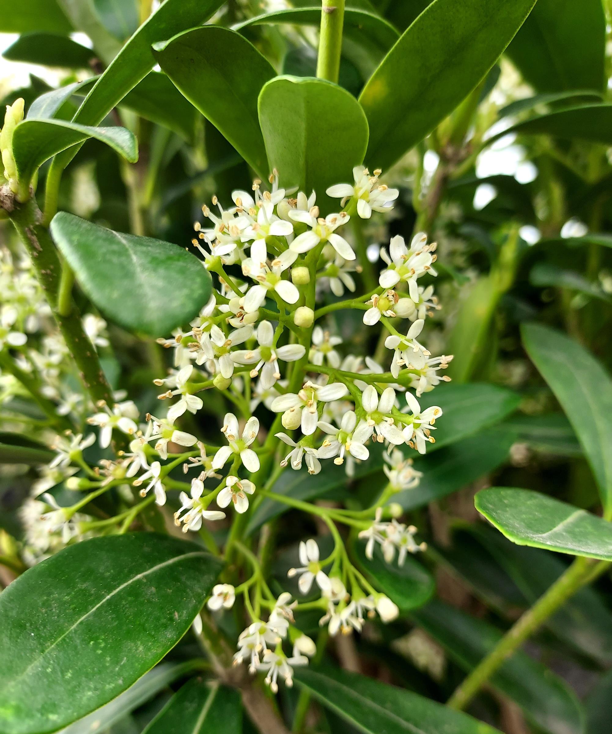 9f39a70c4ff8ec09beb882a984a846d6