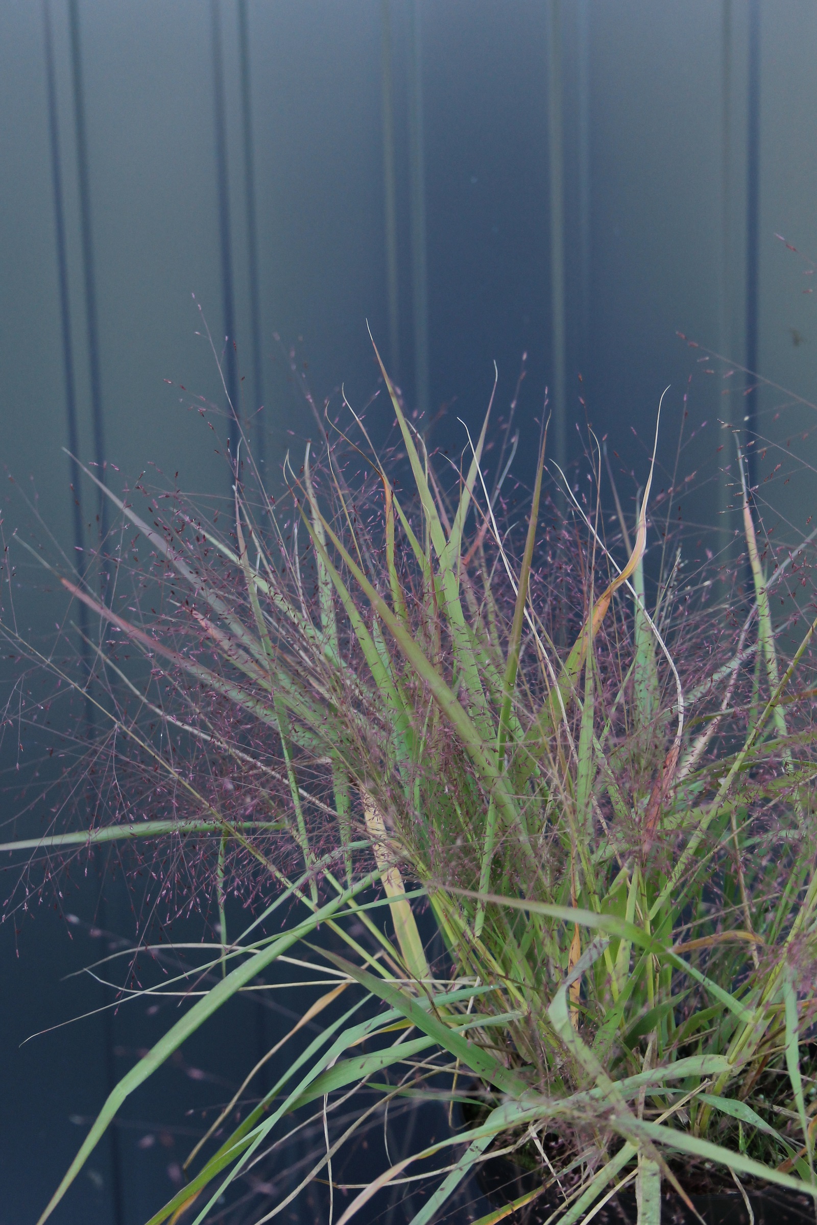 fdef99d5e6cb5ddd07ba582eba717c68