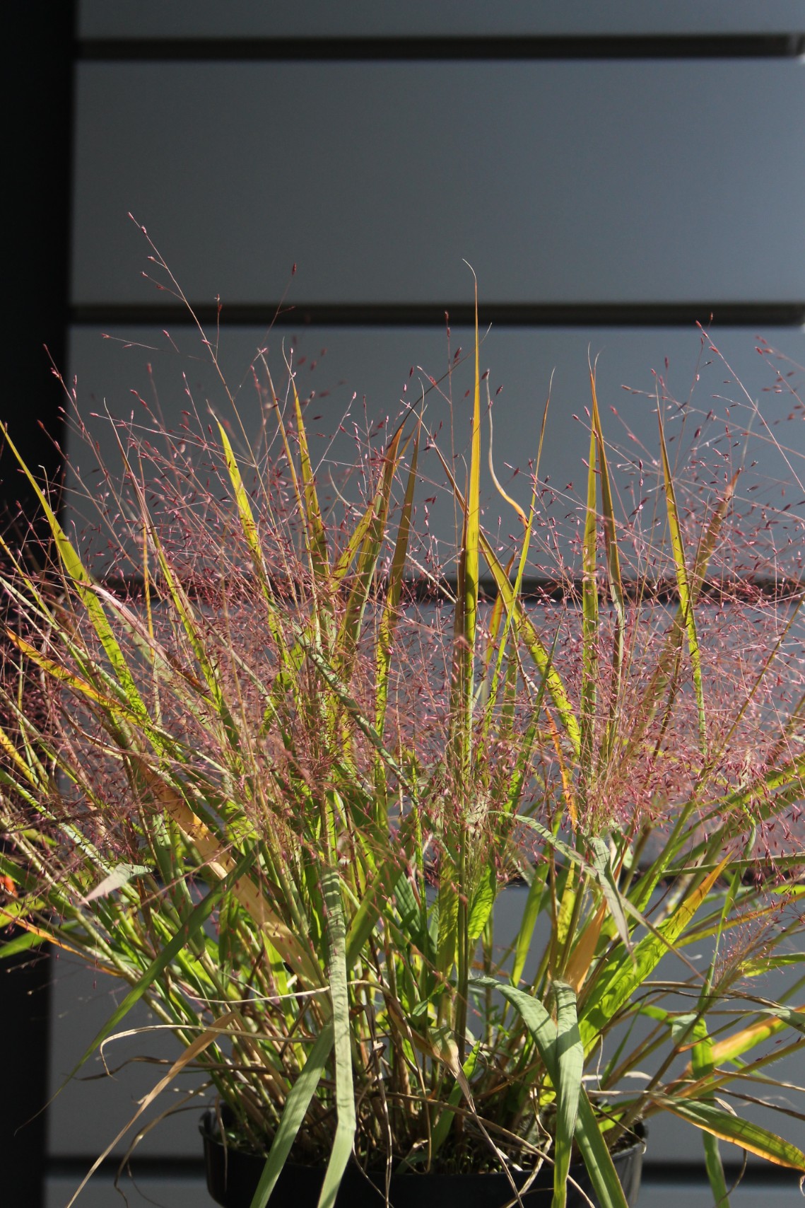 bac7cd10715ba3d35cb9ec8417ec79fd