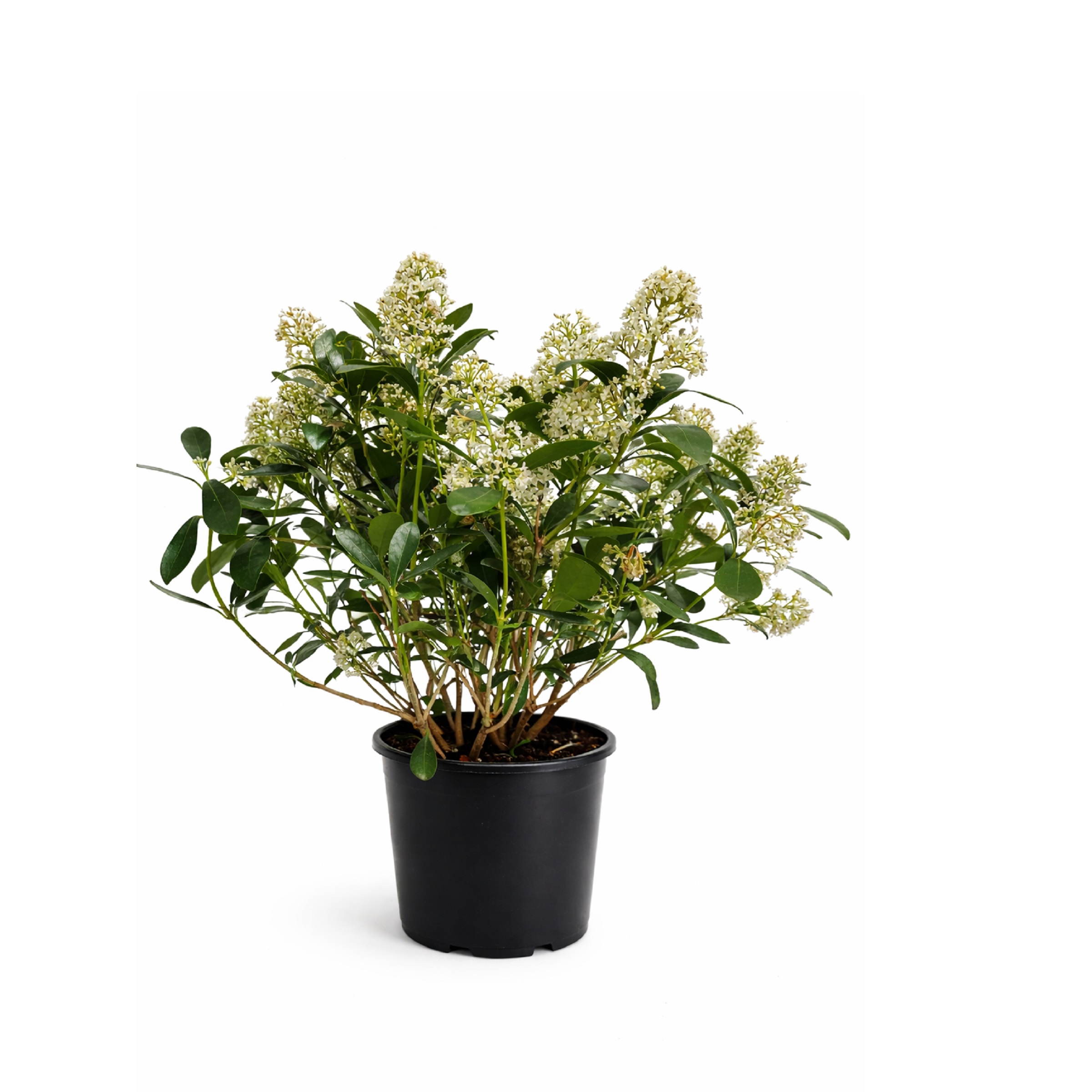 682463139afb7f233eb8d43407e78378