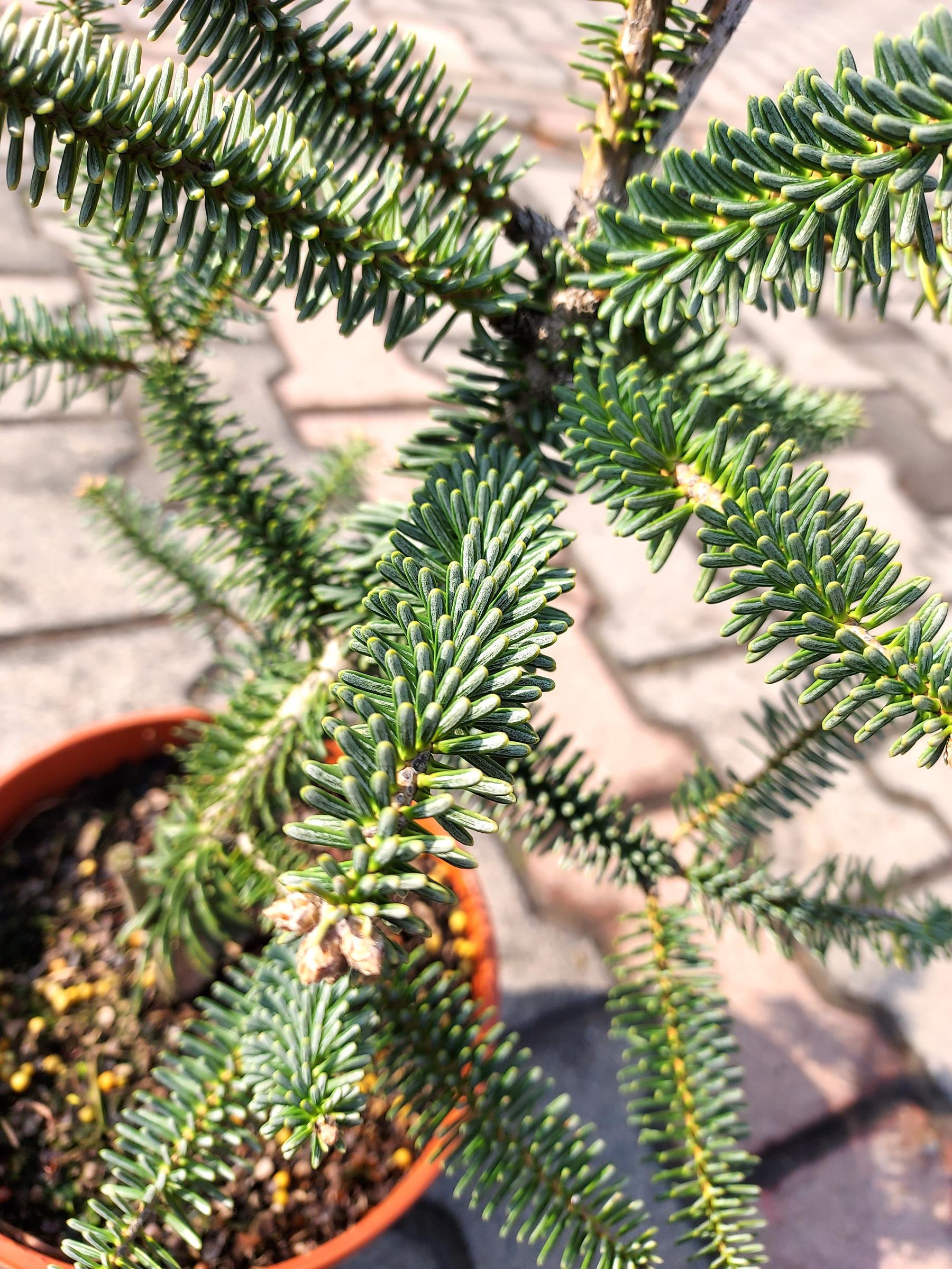 5f48f549b9729117e128793d5ba005dd