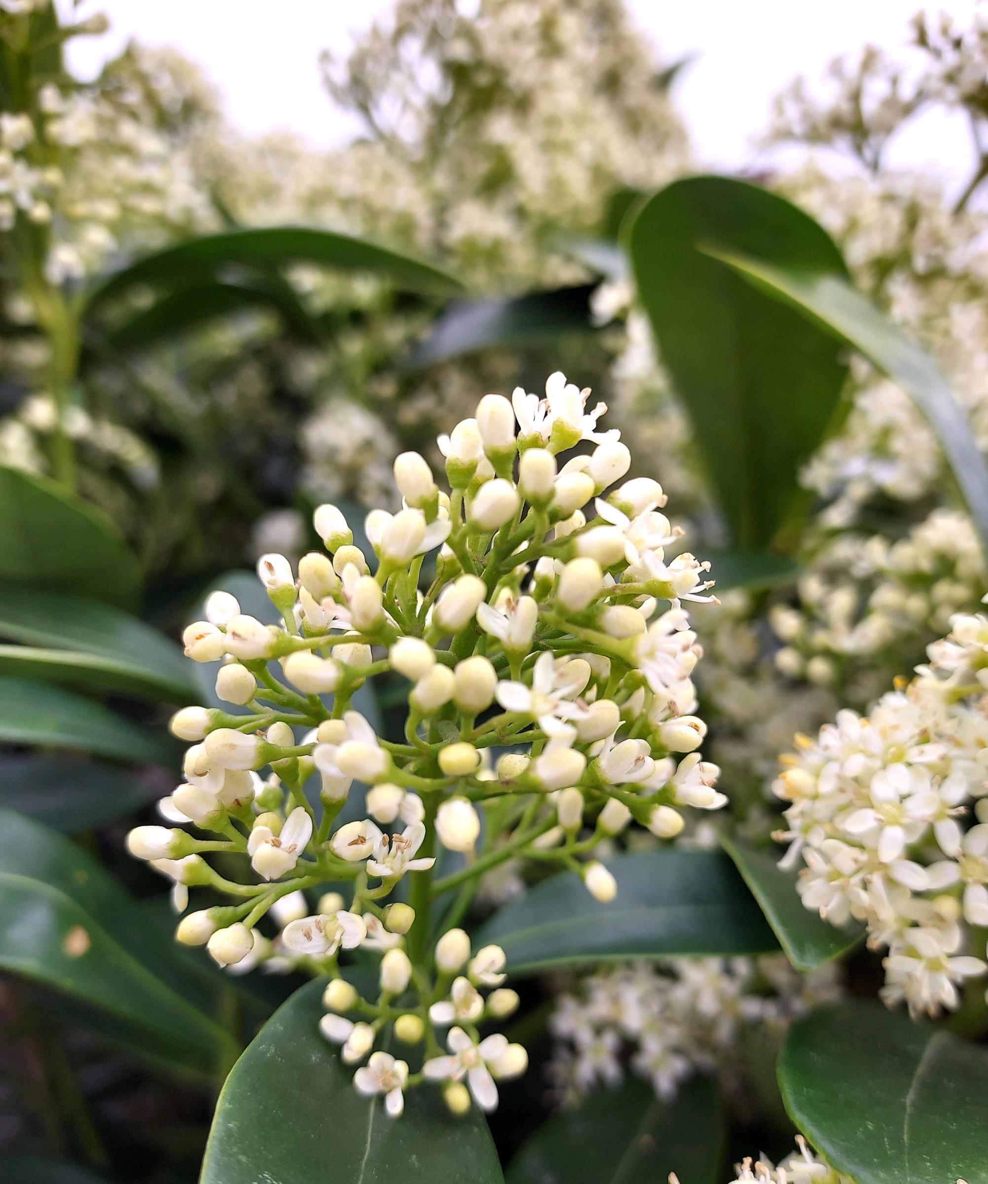 2e7a642b03c31b674c1aae1b85652d62